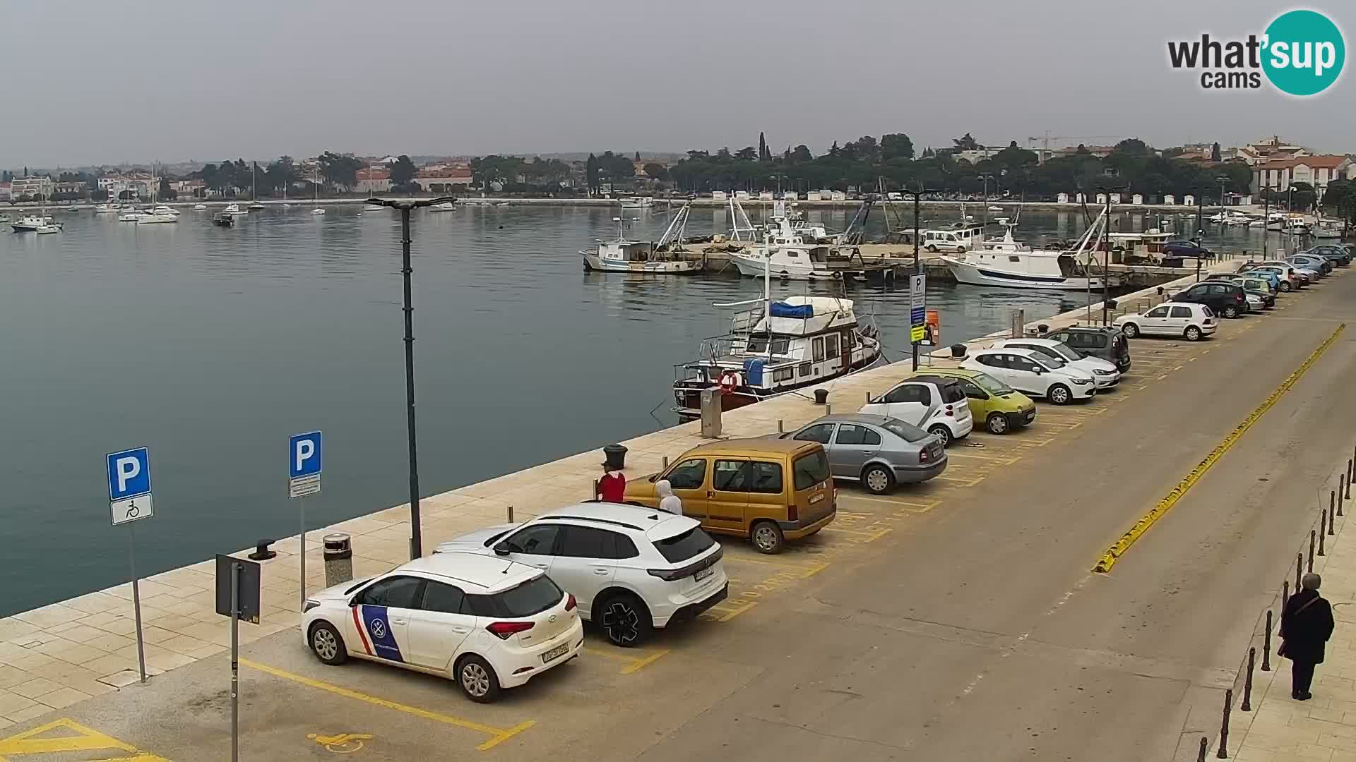 Webcam live Umag – port