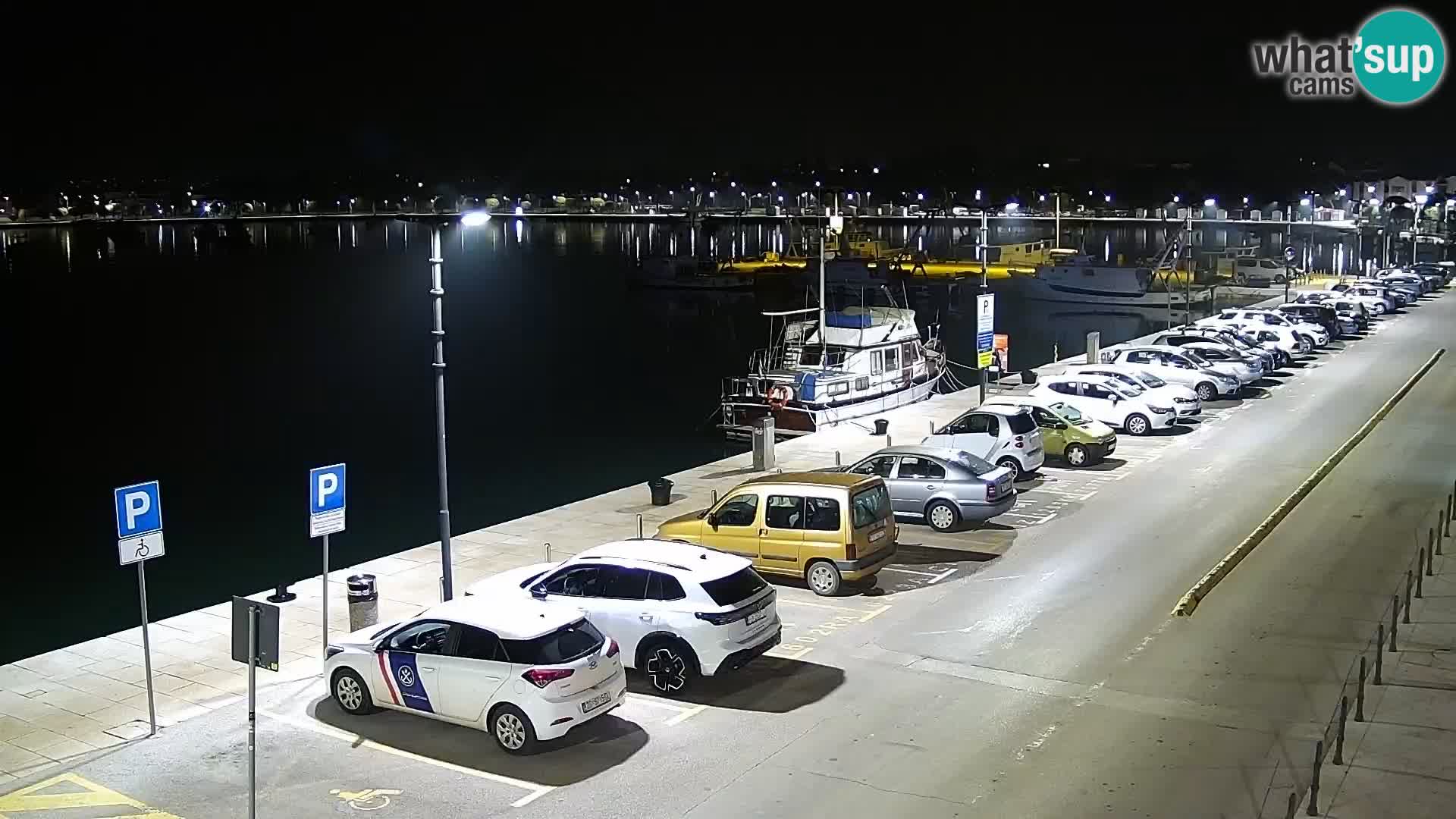 Webcam Umag – Puerto