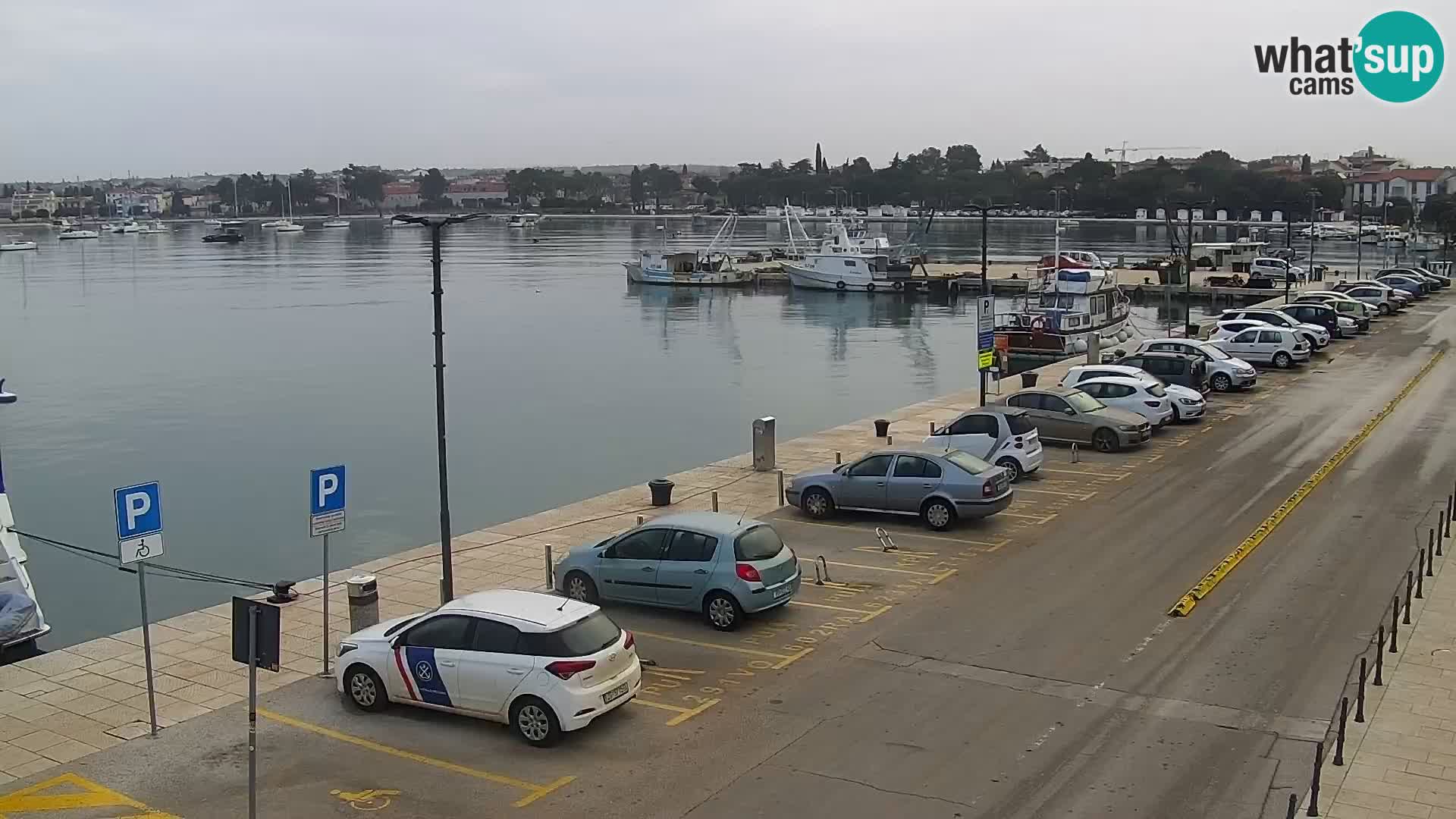 Webcam live Umag – Hafen