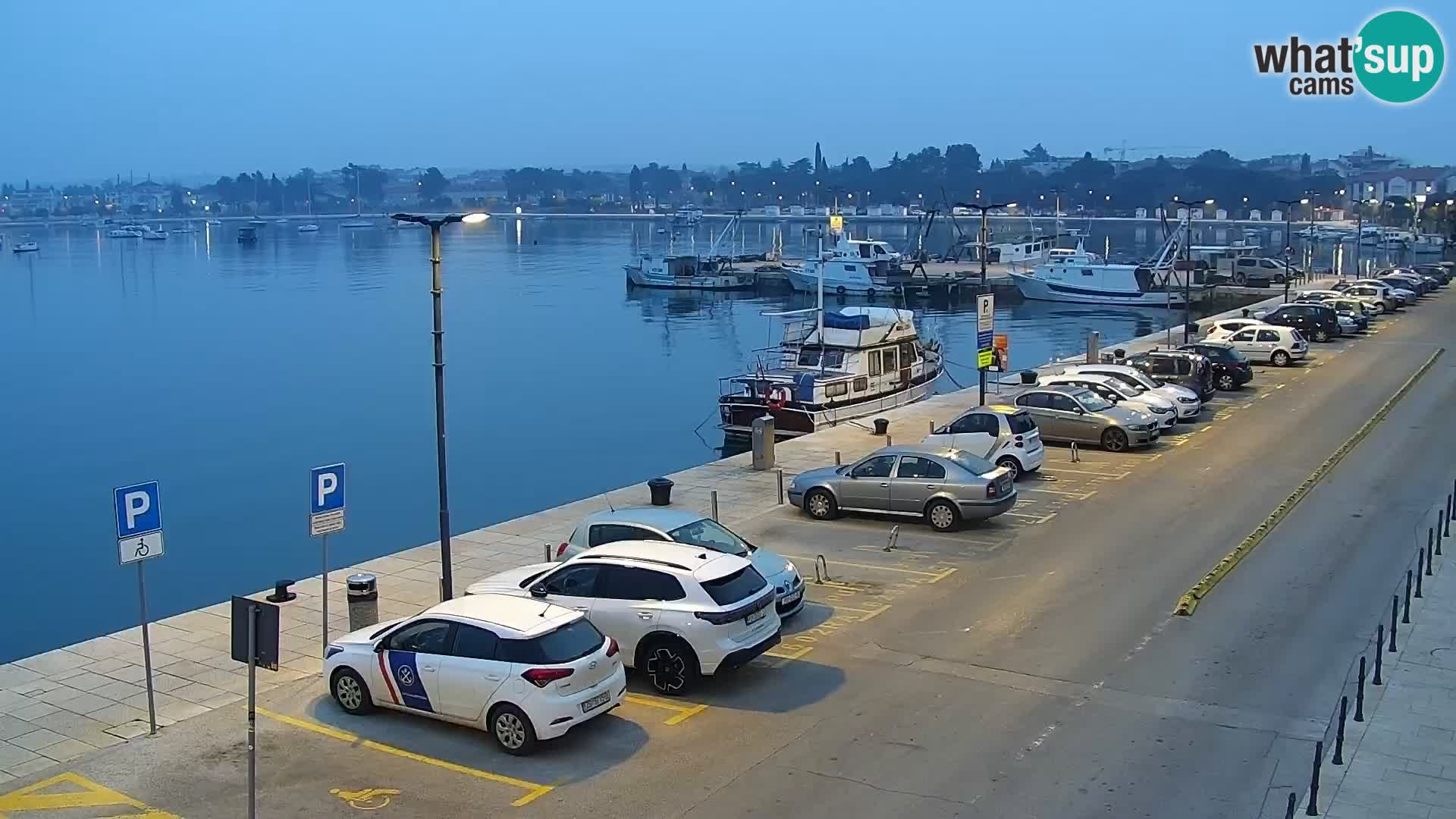 Webcam live Umag – Hafen