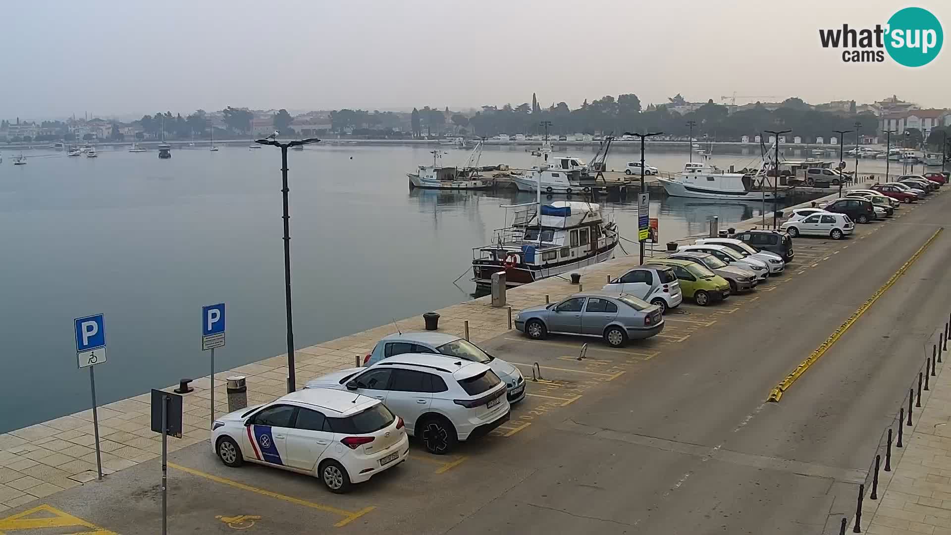 Webcam live Umag – Hafen