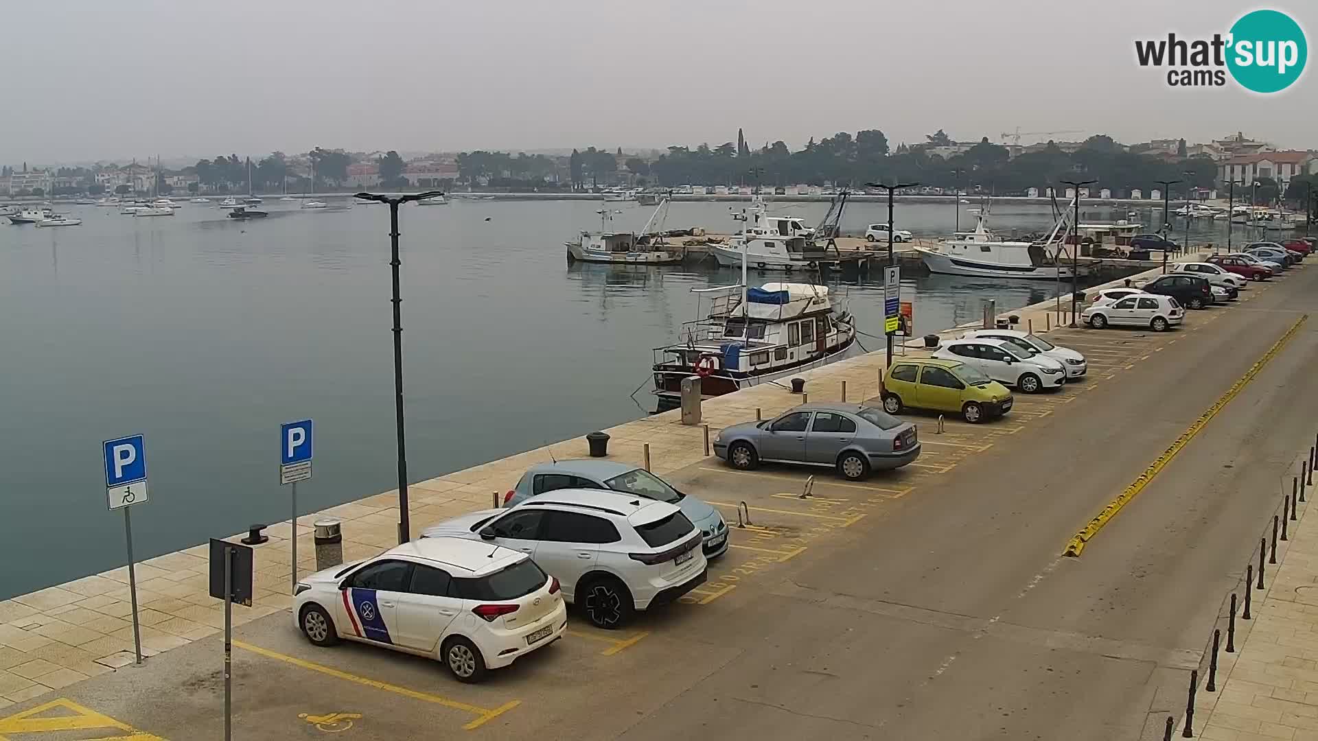 Webcam Umag – Puerto