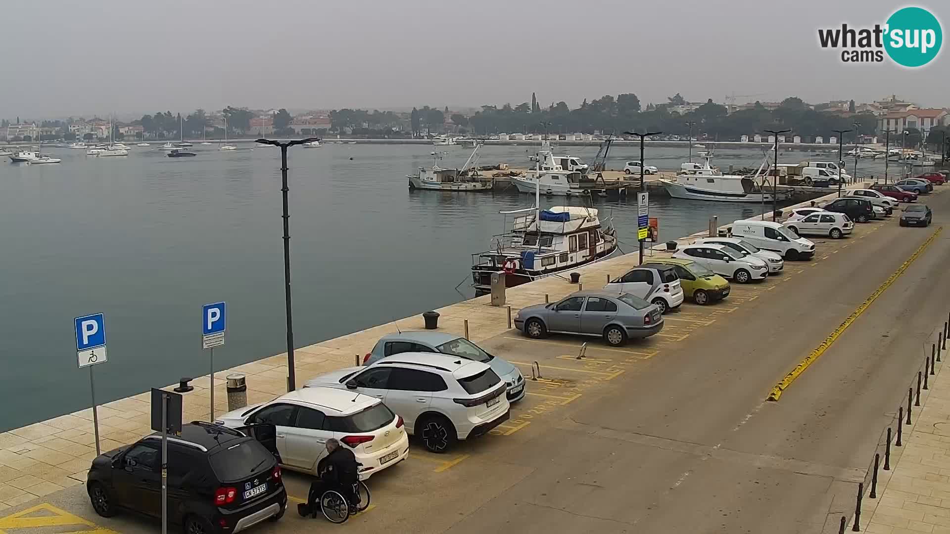 Webcam Umag – Puerto