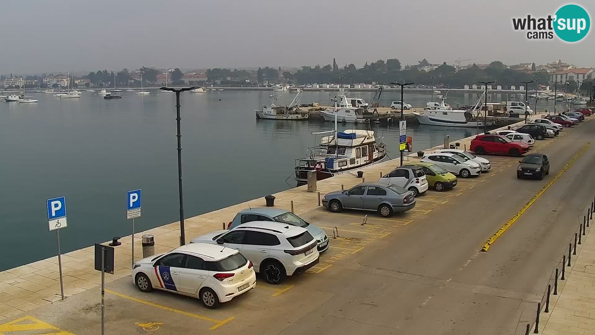 Webcam live Umag – Hafen