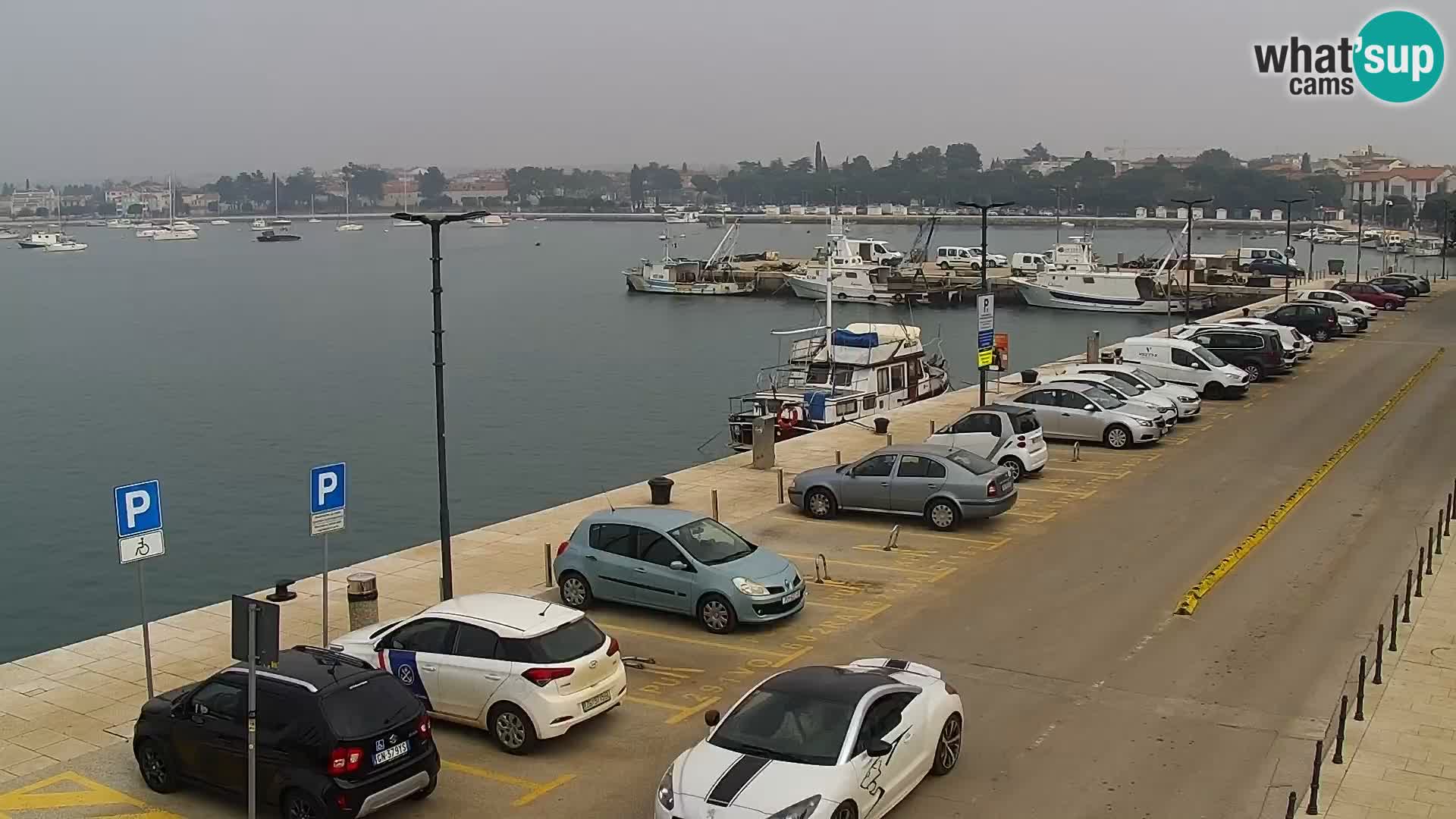 Webcam live Umag – Hafen