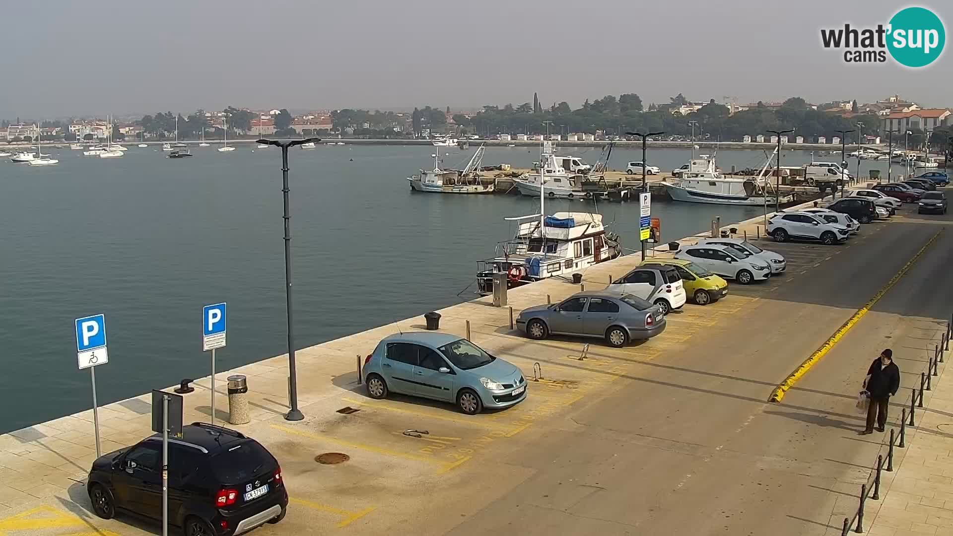 Webcam live Umag – Hafen