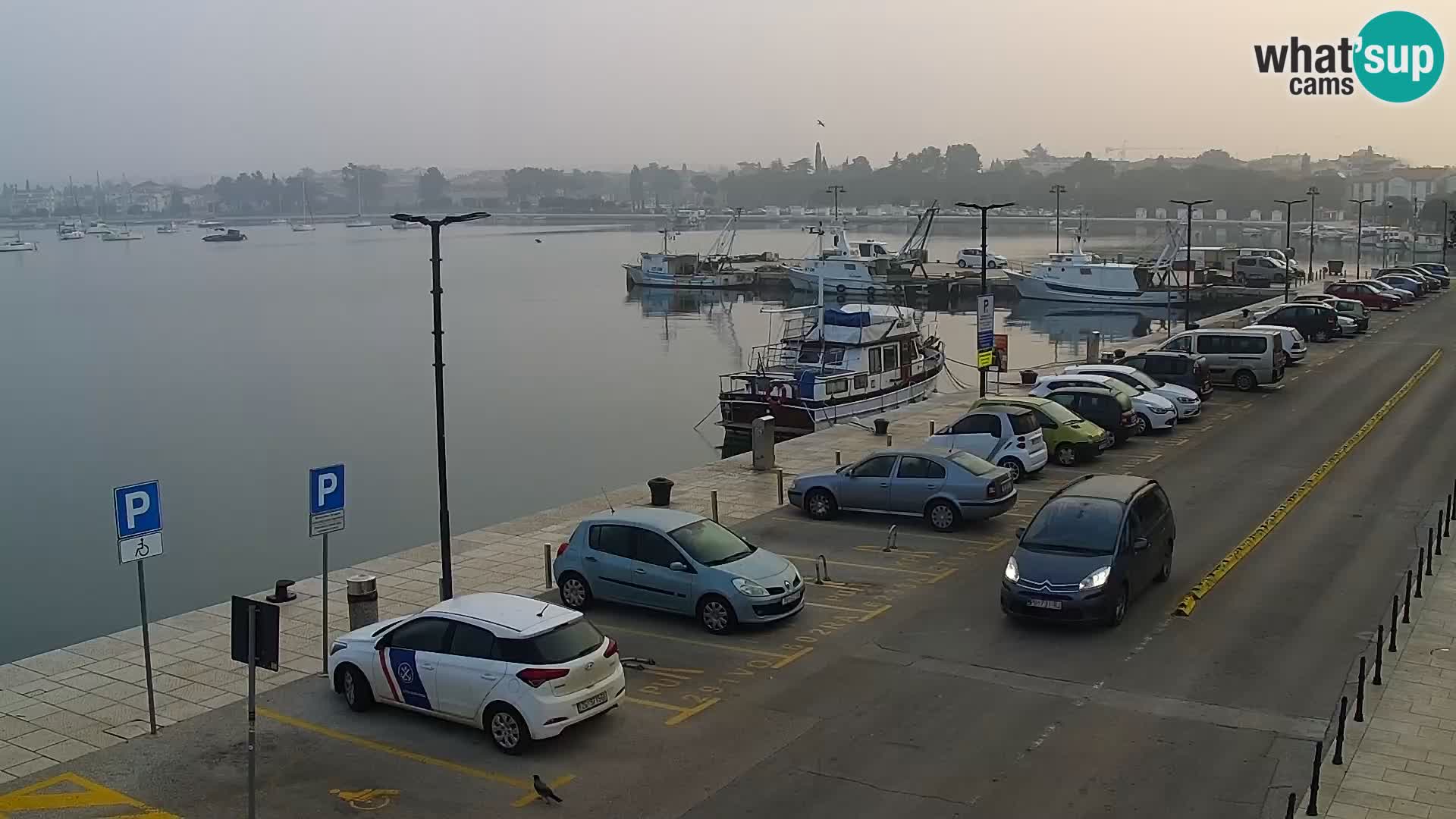 Webcam live Umag – port