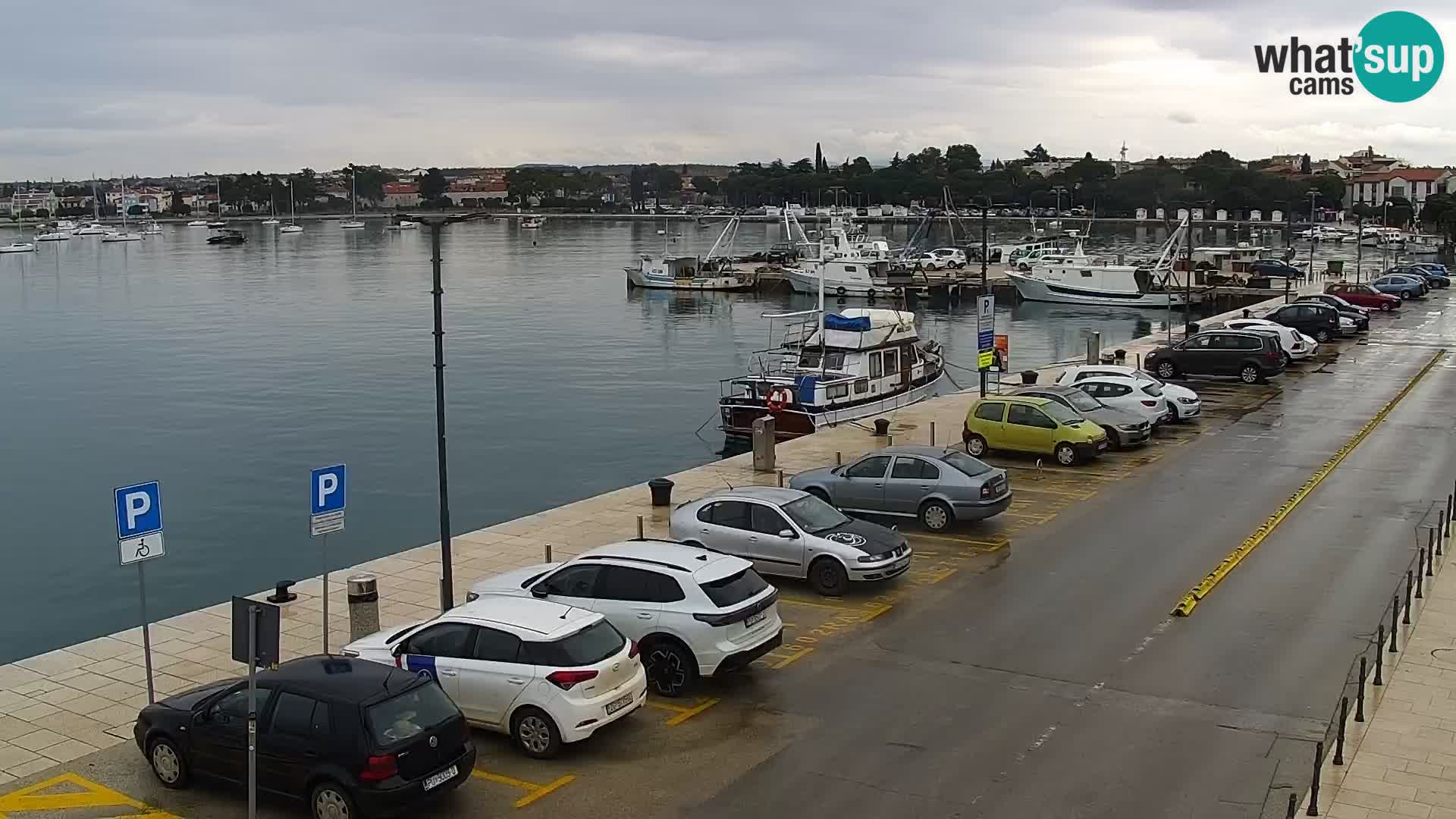 Webcam live Umag – Hafen