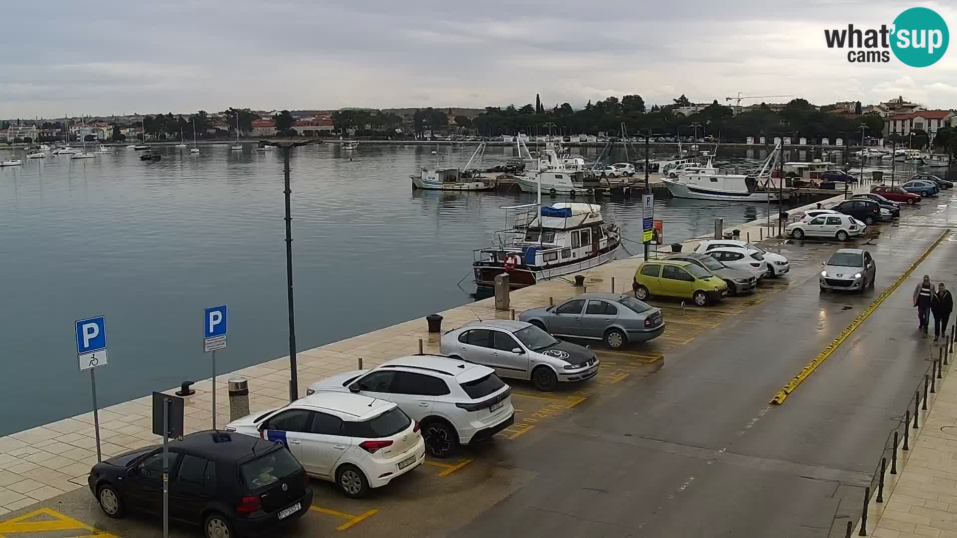 Webcam live Umag – Hafen