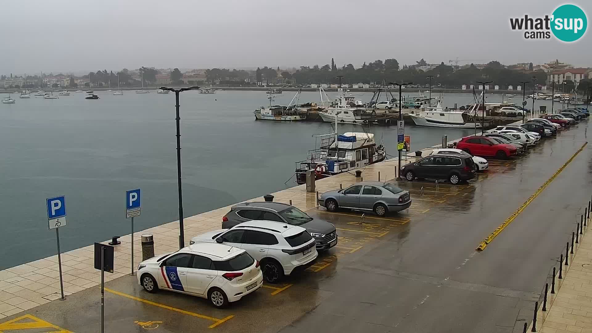 Webcam Umag – Puerto