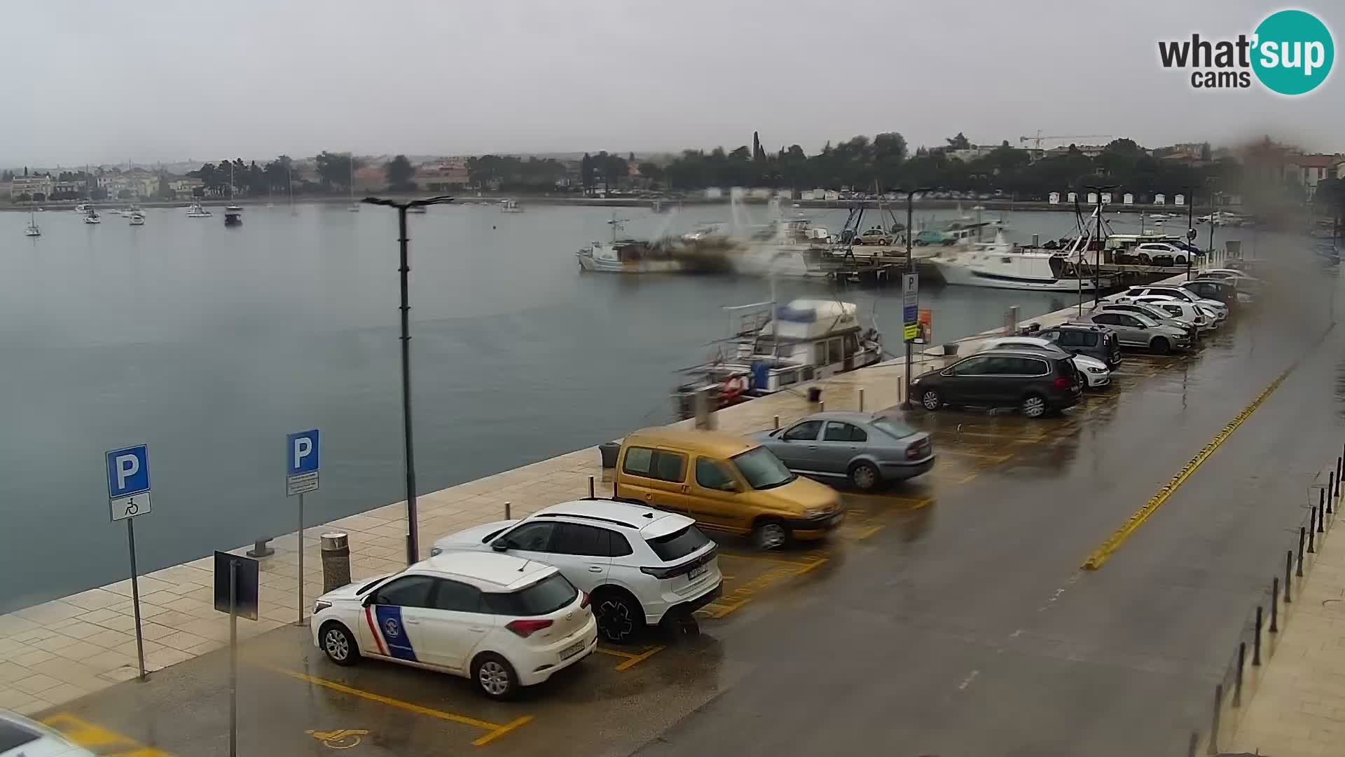 Webcam live Umag – port