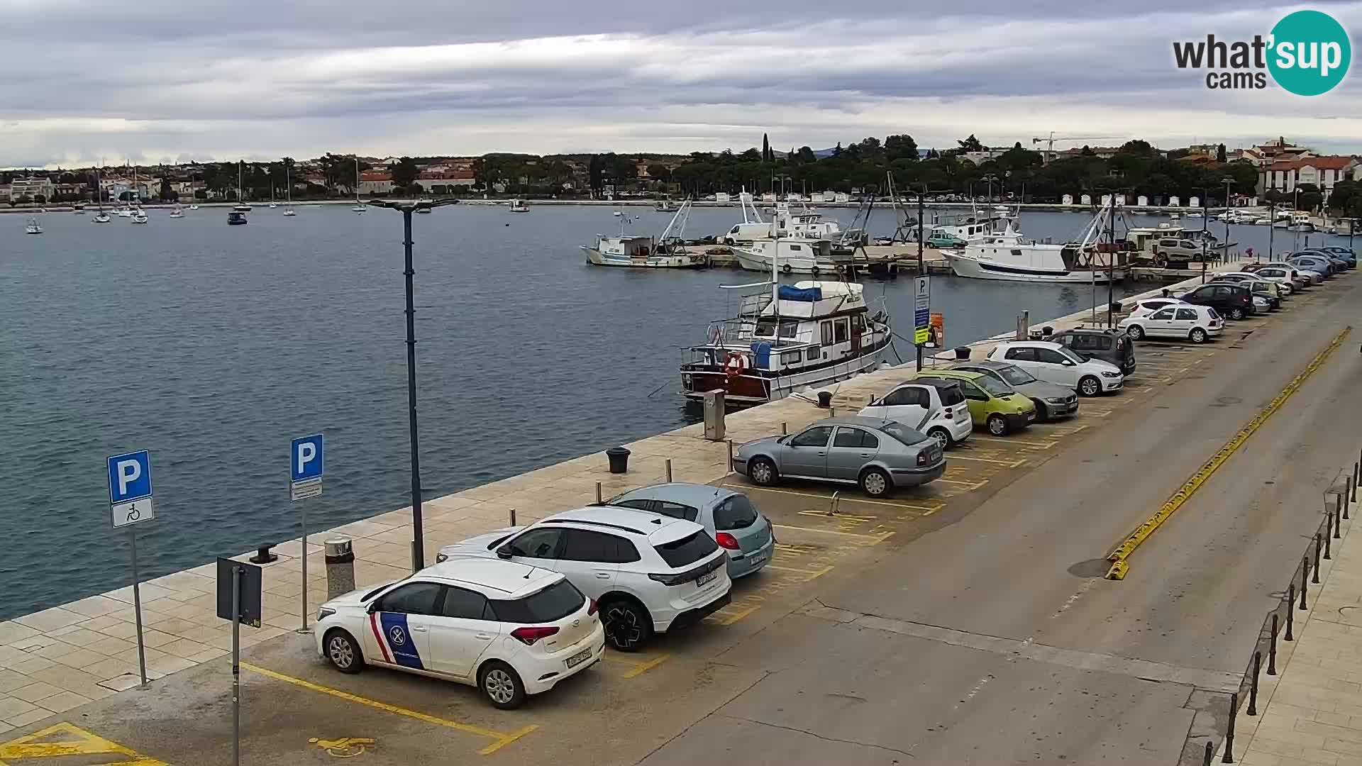 Webcam Umag – Puerto