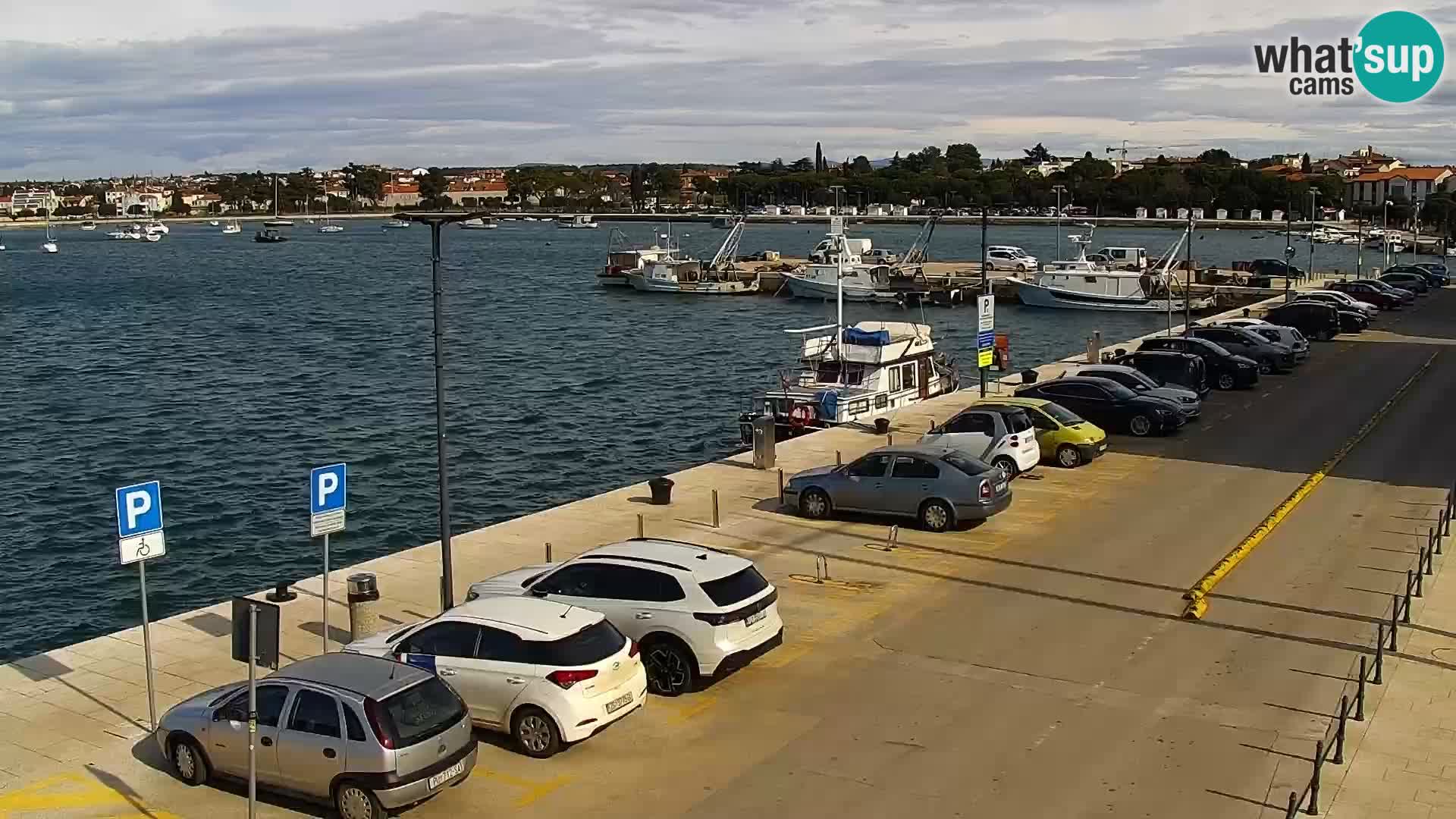 Live webcam Umag – Harbour