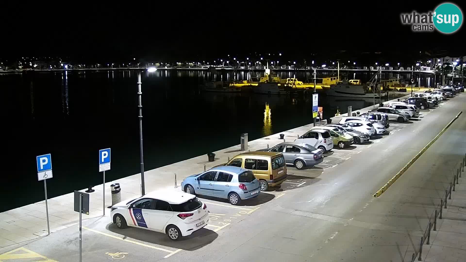 Webcam Umag – Puerto