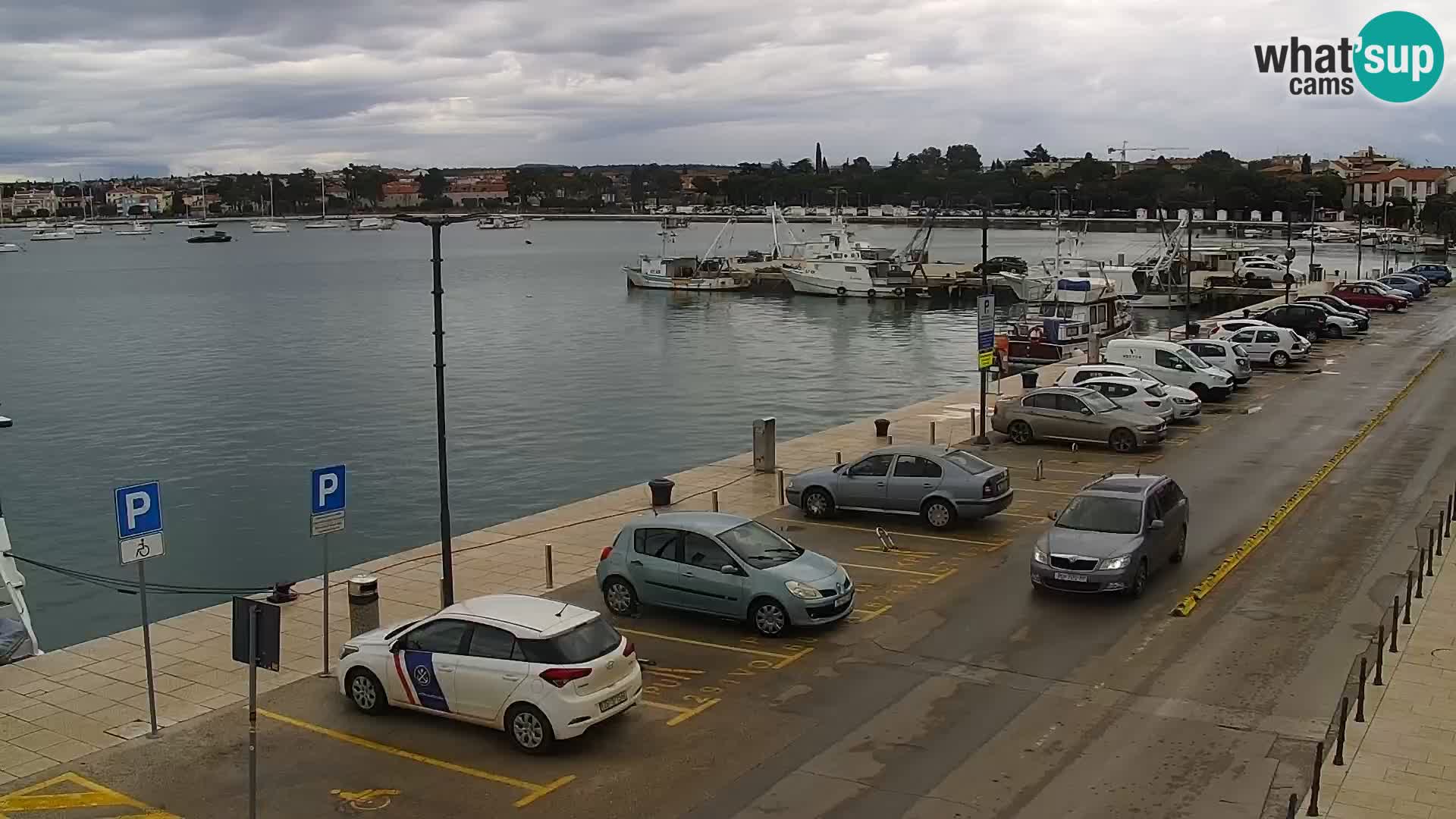 Webcam live Umag – Hafen