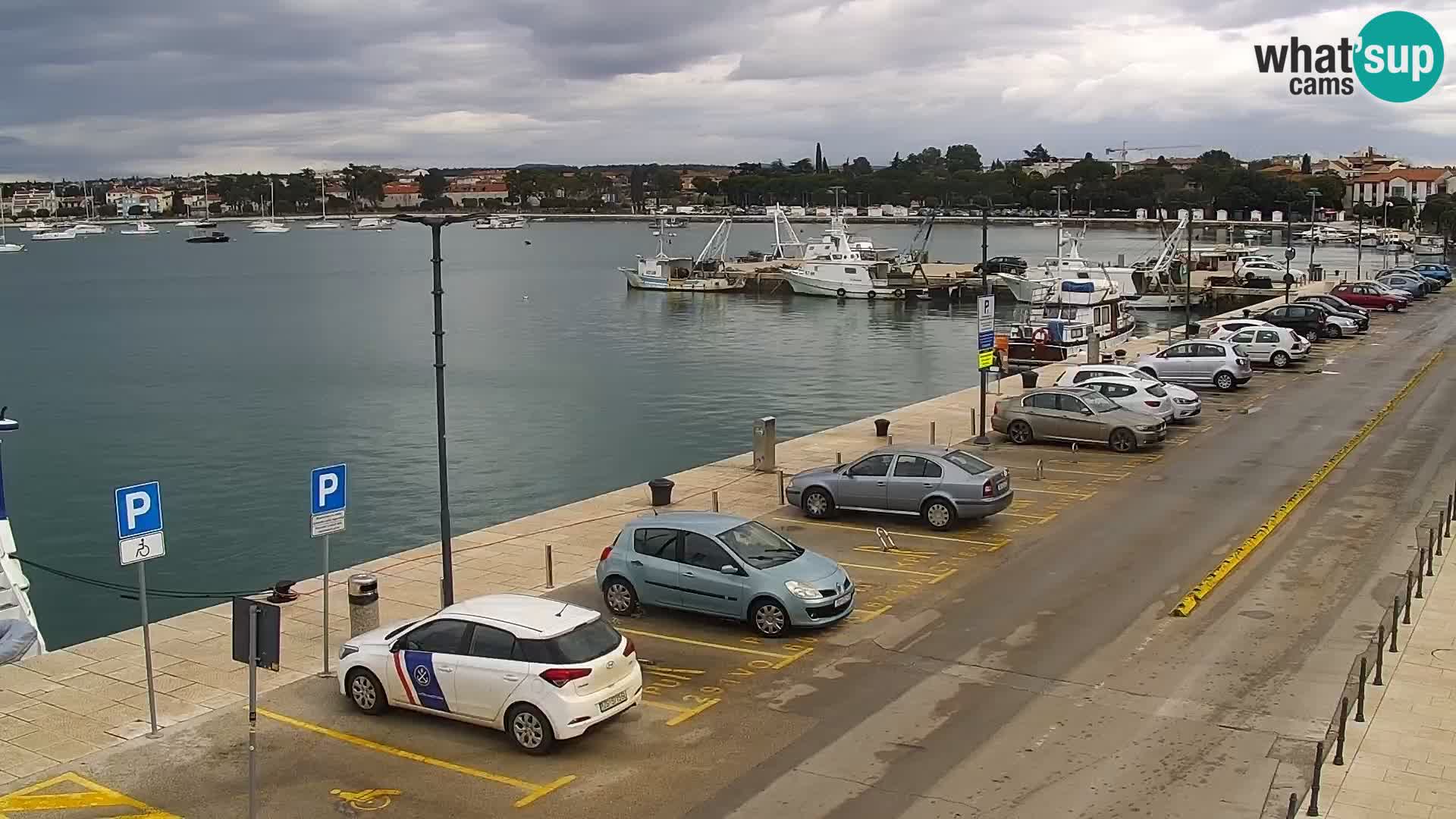 Live webcam Umag – Harbour