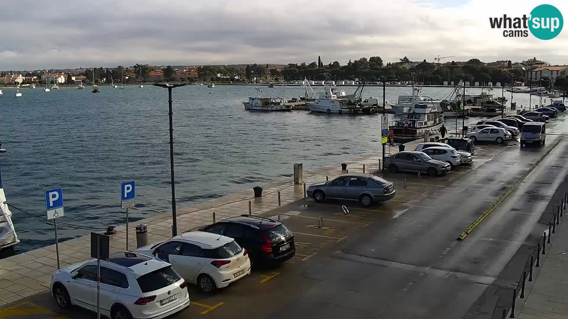 Webcam Umag – Puerto