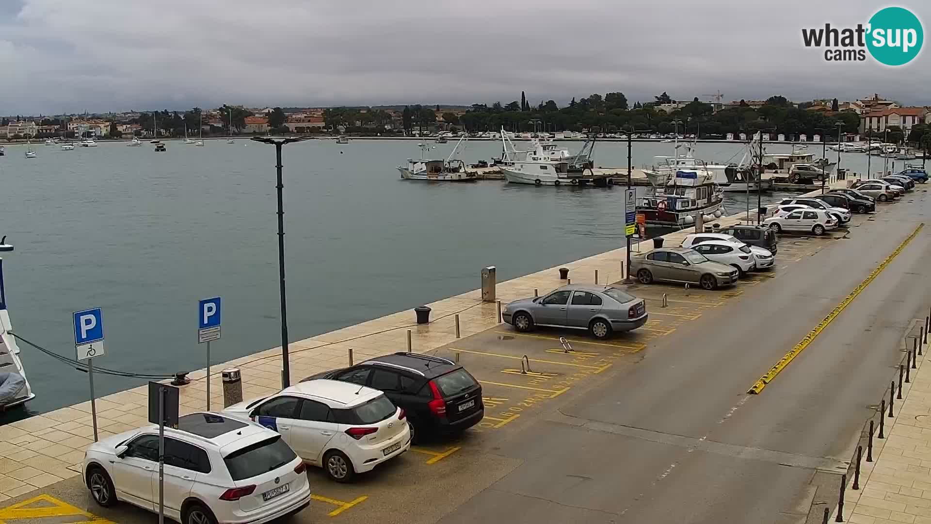 Webcam Umag – Puerto