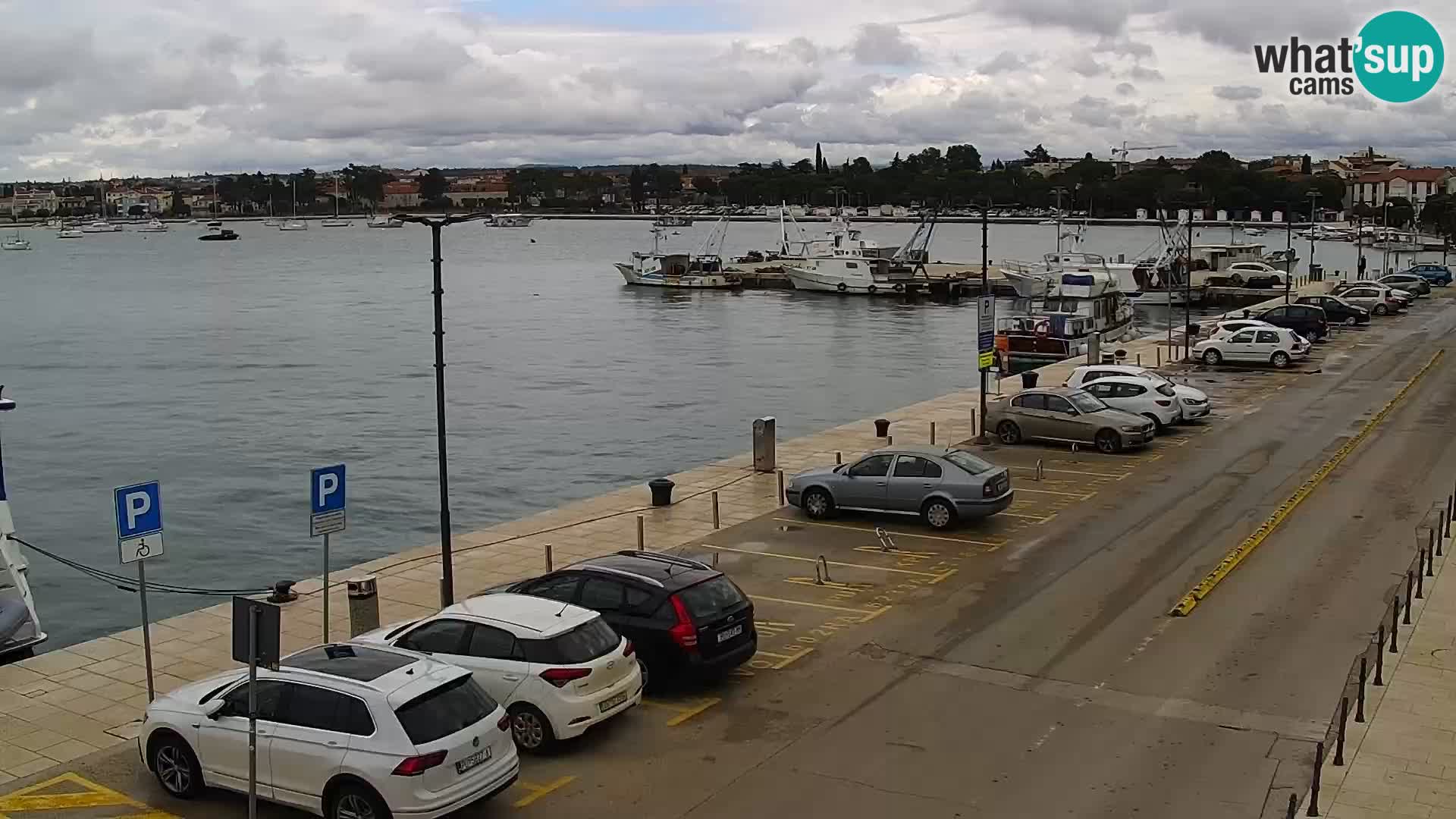 Live webcam Umag – Harbour