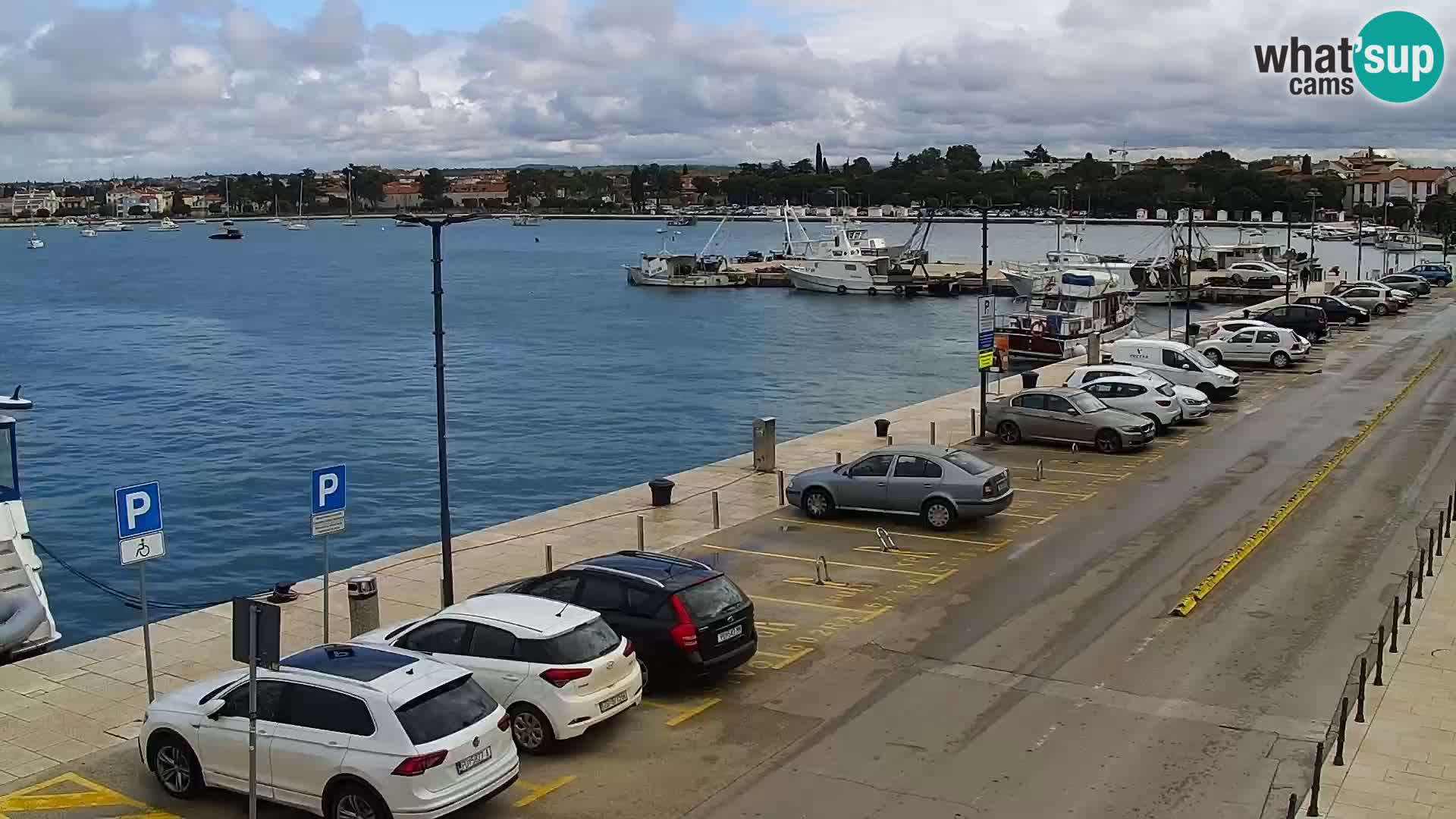 Webcam live Umag – port