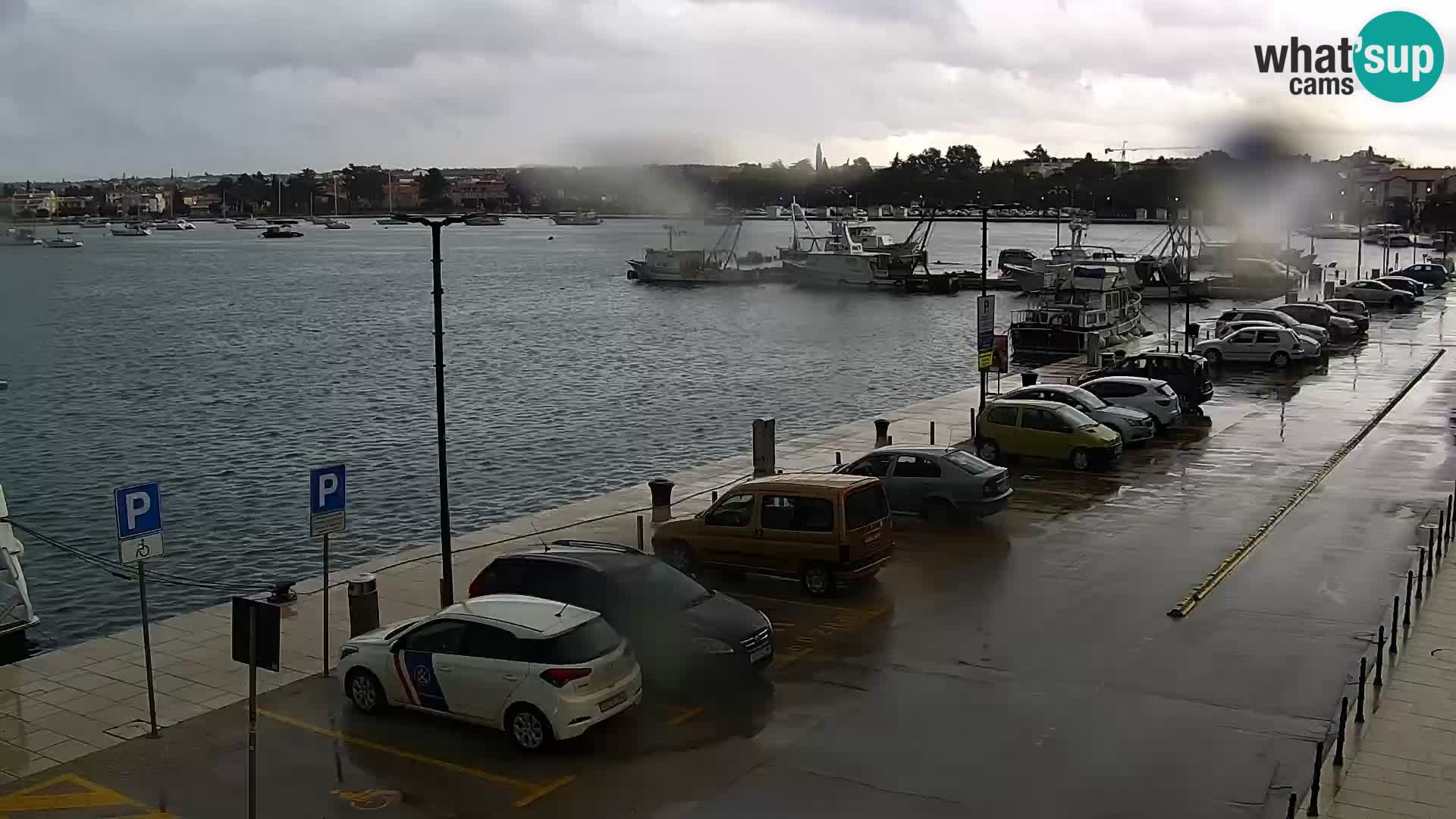 Webcam Umag – Puerto