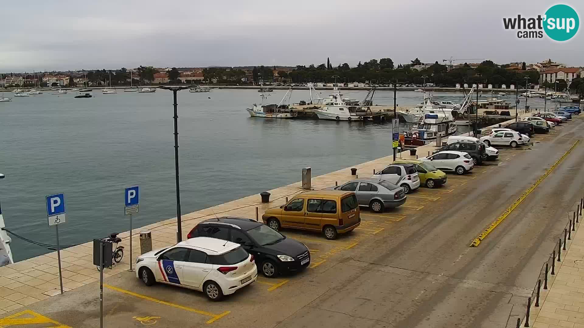 Spletna kamera Umag – luka