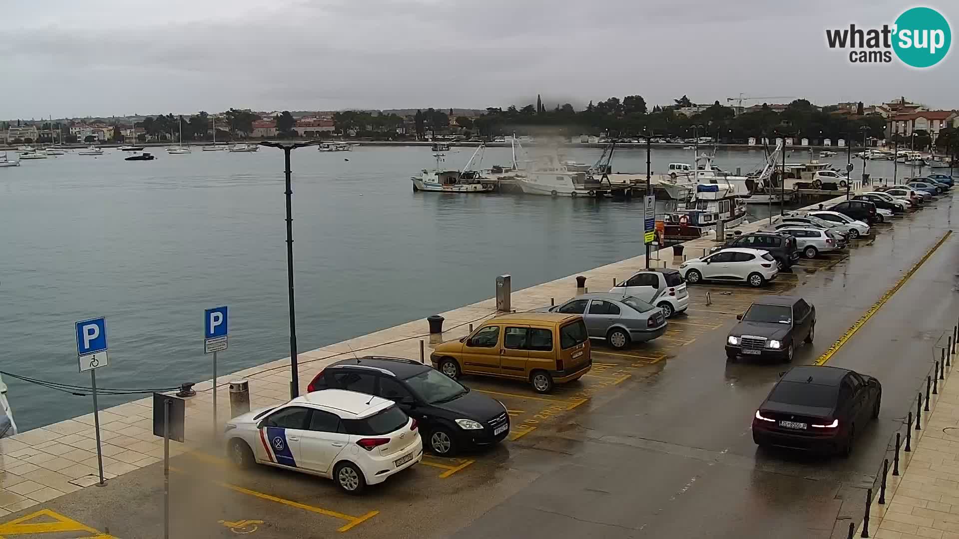 Webcam live Umag – port