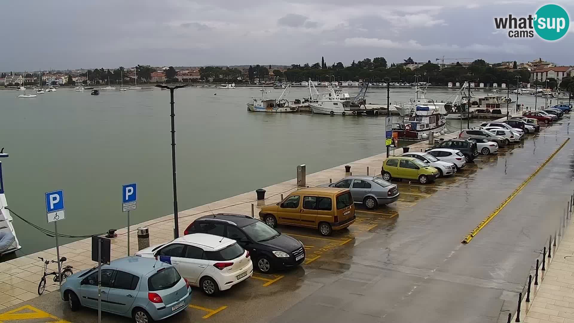 Webcam live Umag – port