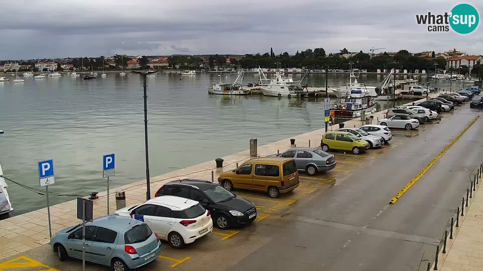 Spletna kamera Umag – luka