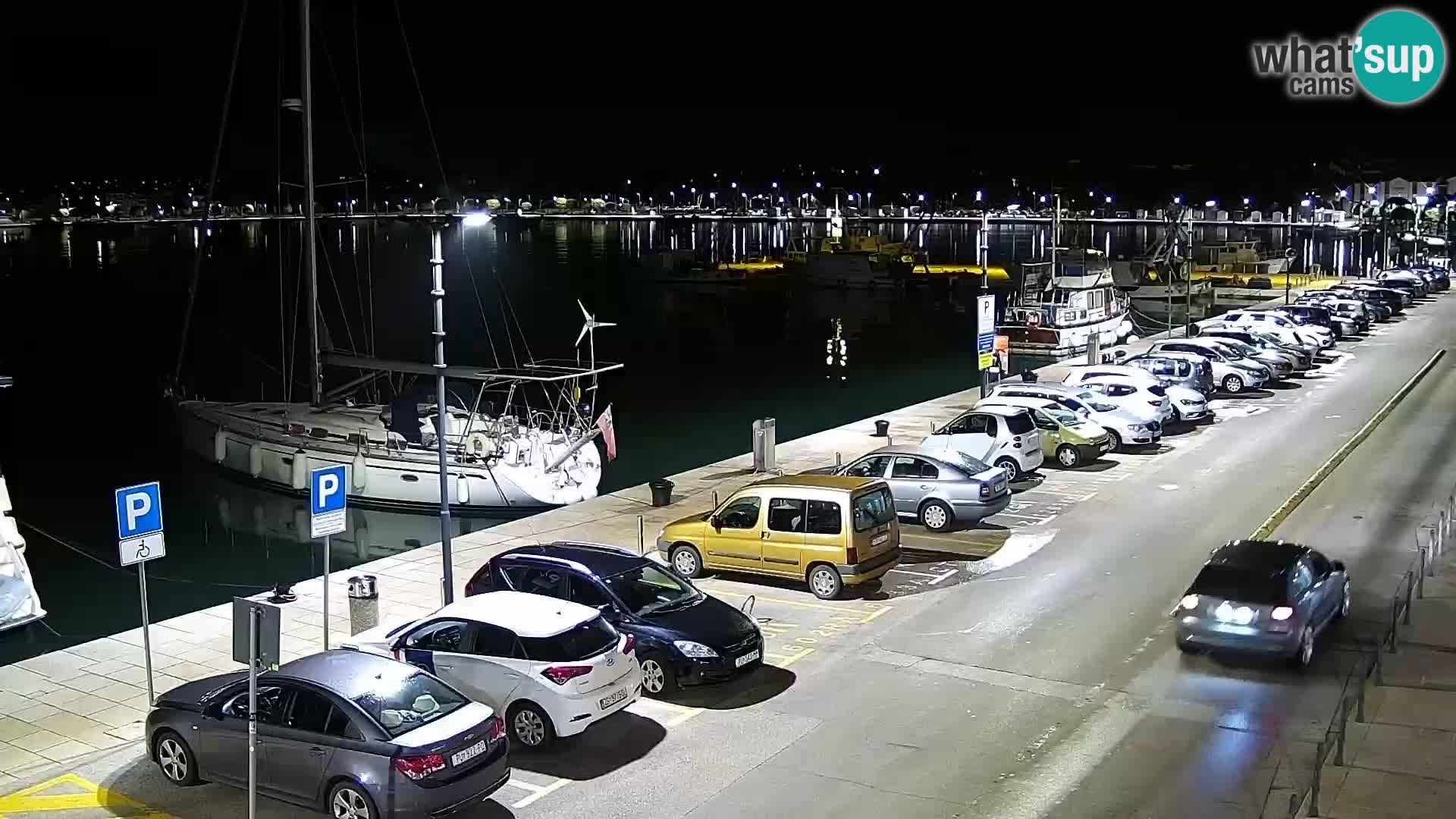 Webcam Umag – Puerto