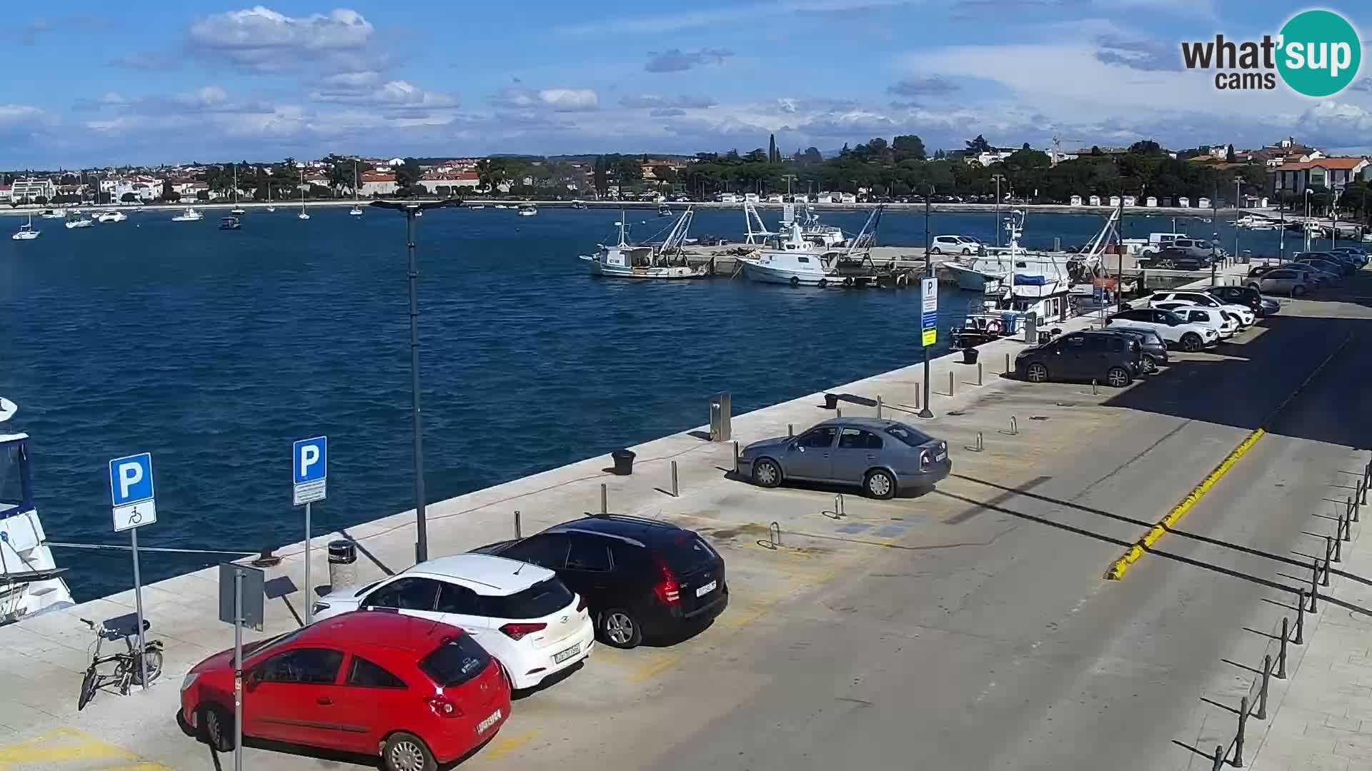 Place principale Umag livecam