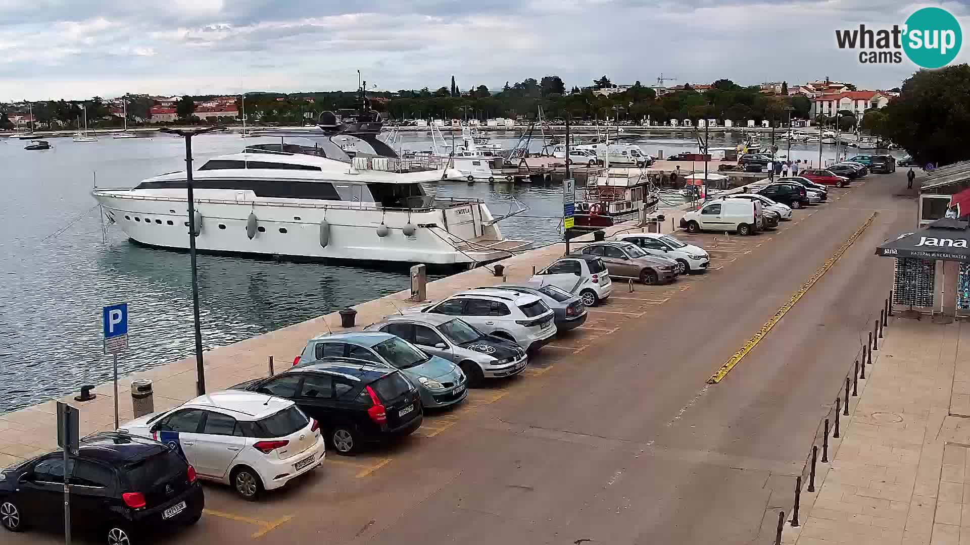 Webcam live Umag – Hafen