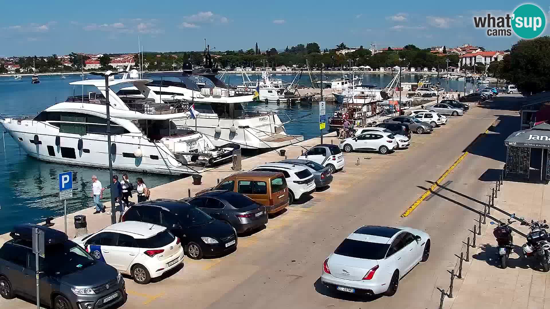 Webcam live Umag – port
