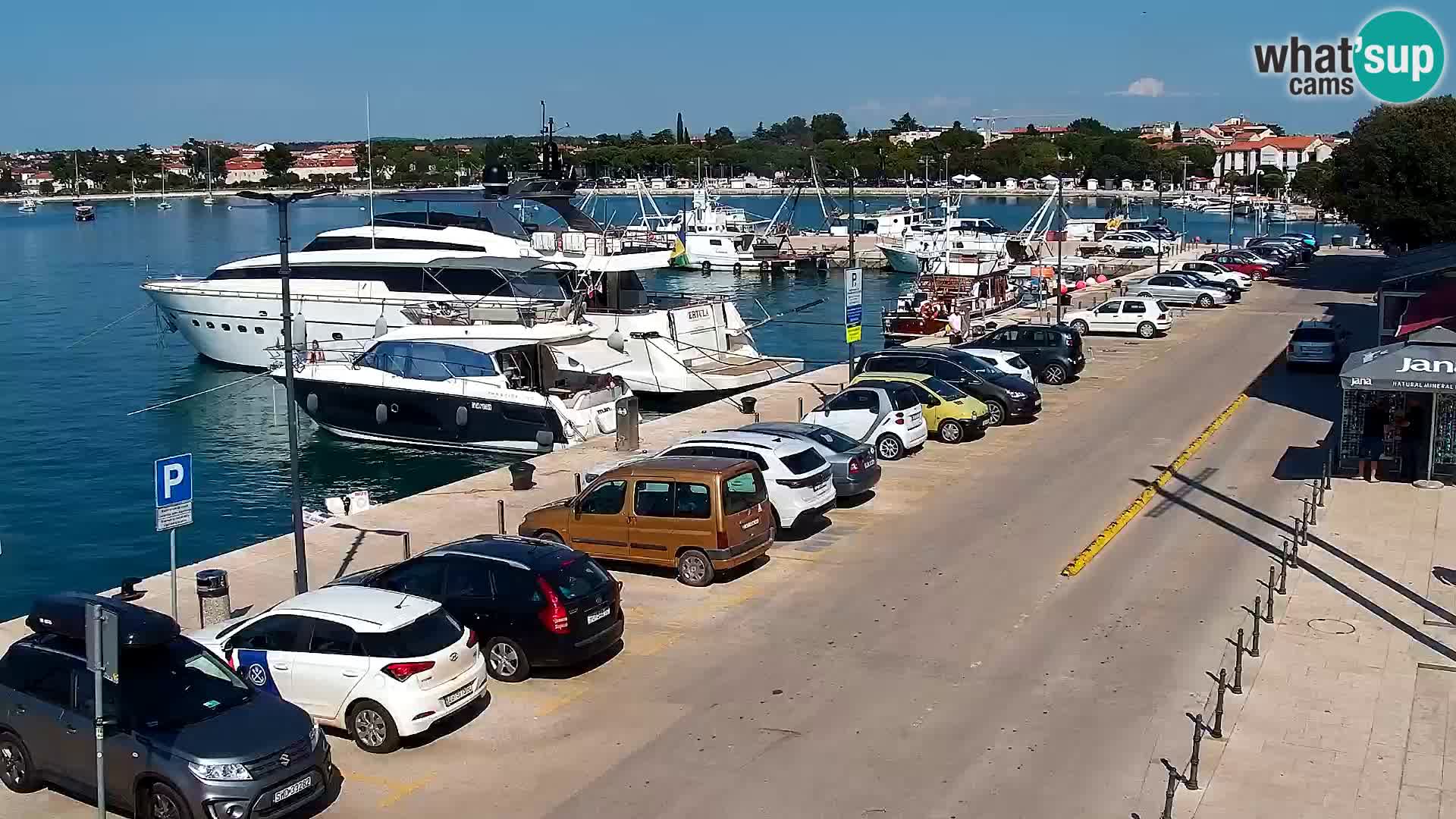 Webcam live Umag – Hafen
