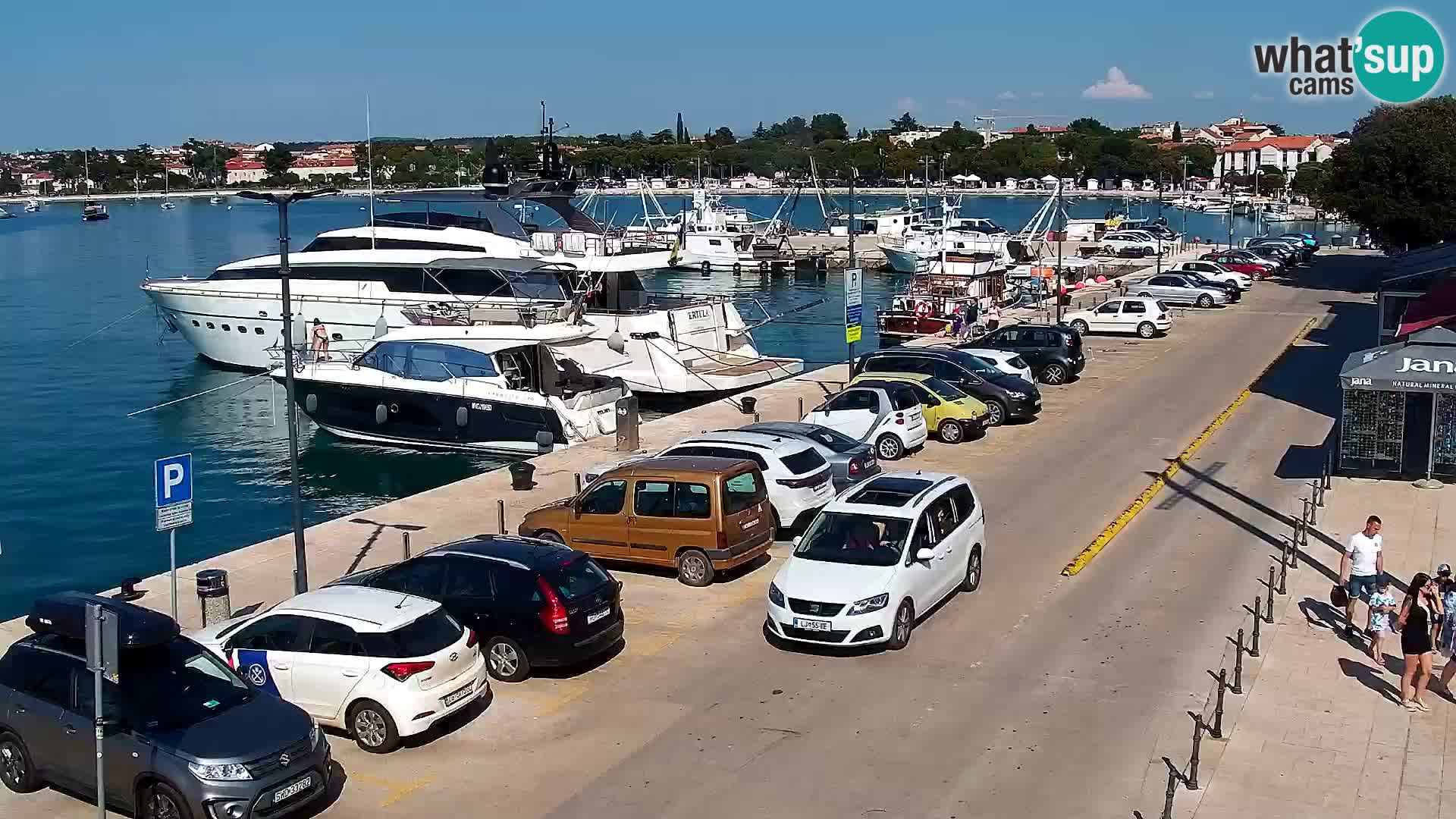 Webcam live Umag – Hafen