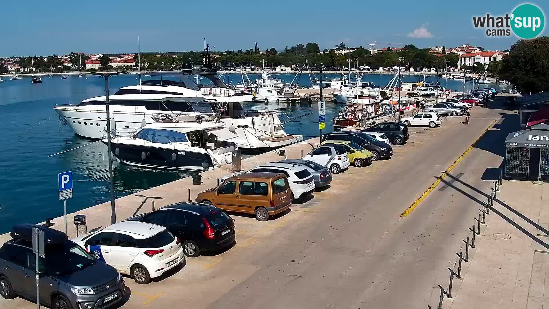 Webcam Umag – Puerto