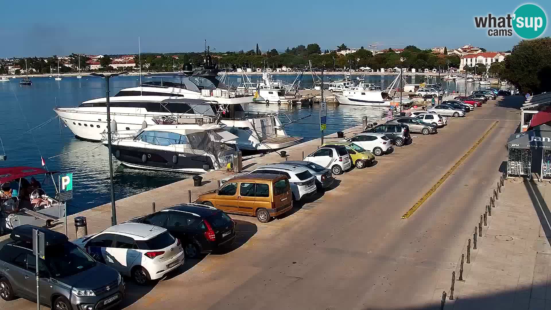 Trg Svobode – Kamera u živo Umag