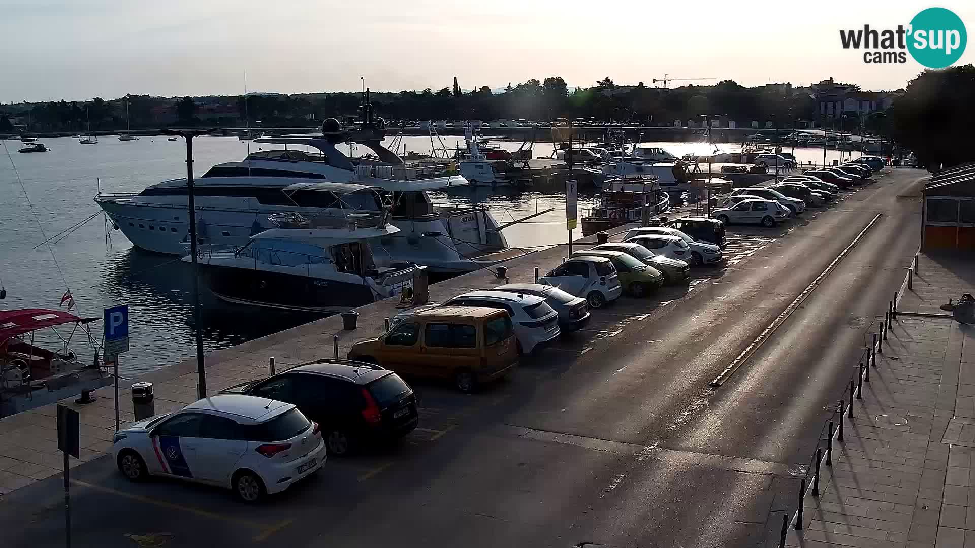 Webcam live Umag – port