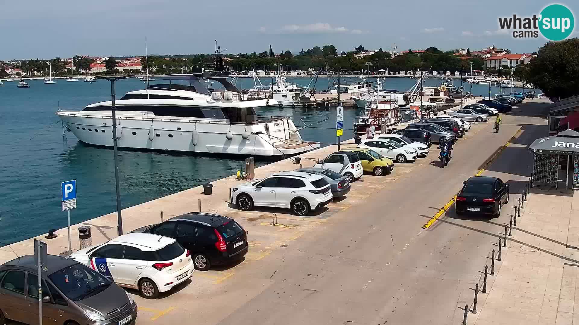 Web kamera Umag – luka