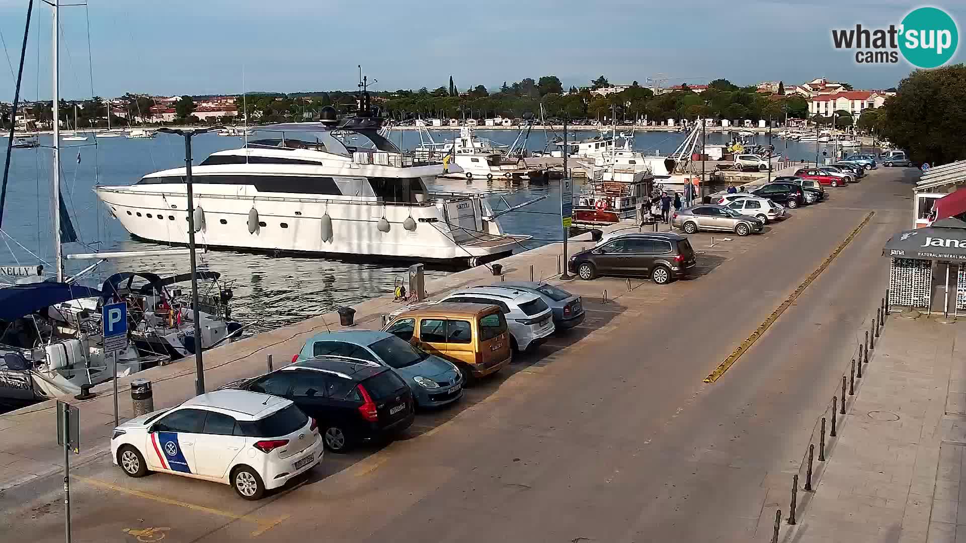 Webcam live Umag – Hafen