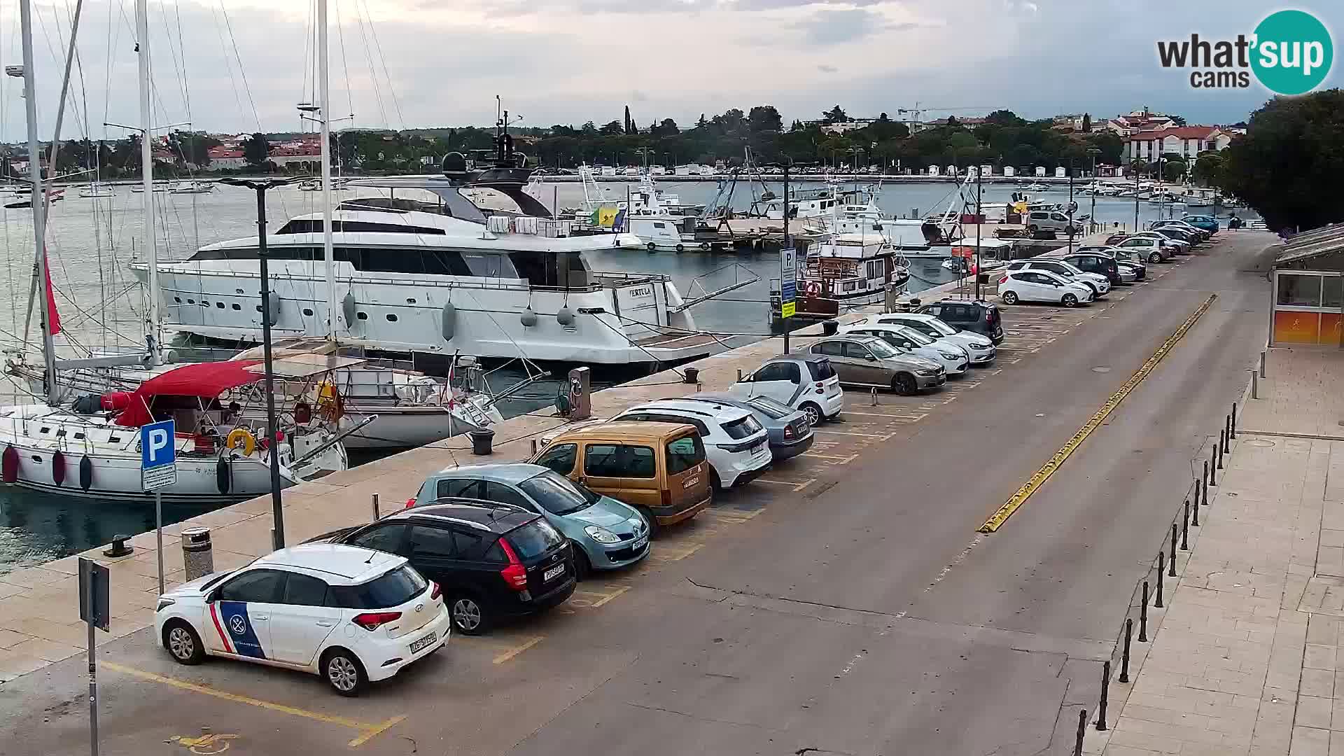 Webcam Umag – Puerto