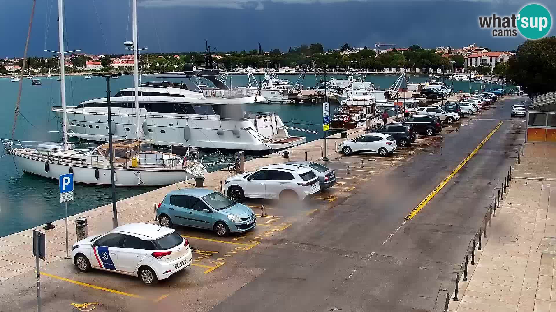 Webcam Umag – Puerto