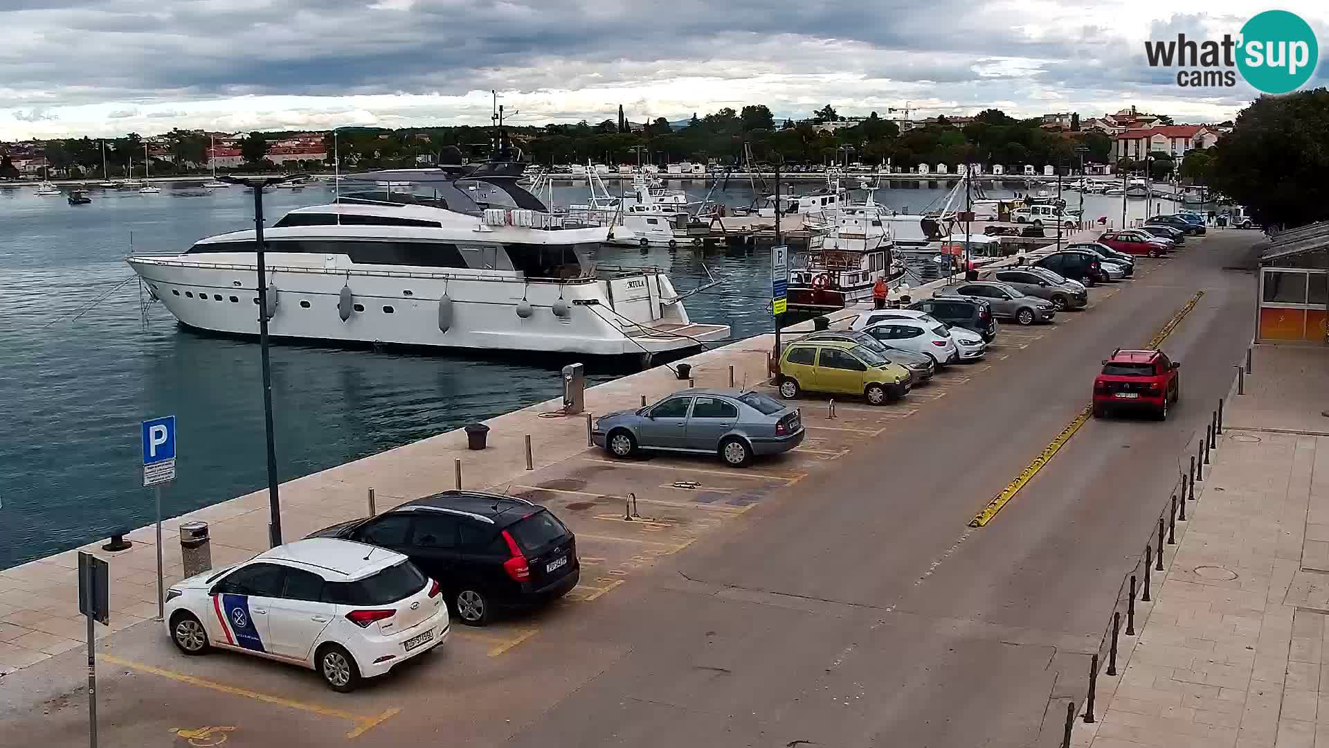 Webcam live Umag – port