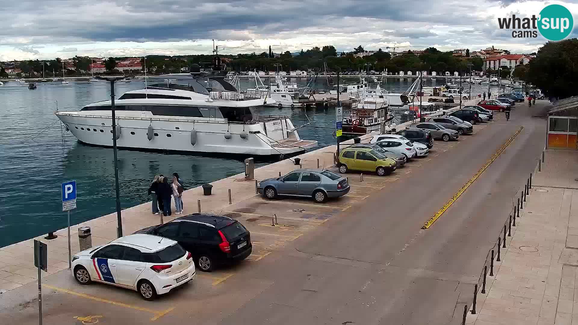 Webcam live Umag – port