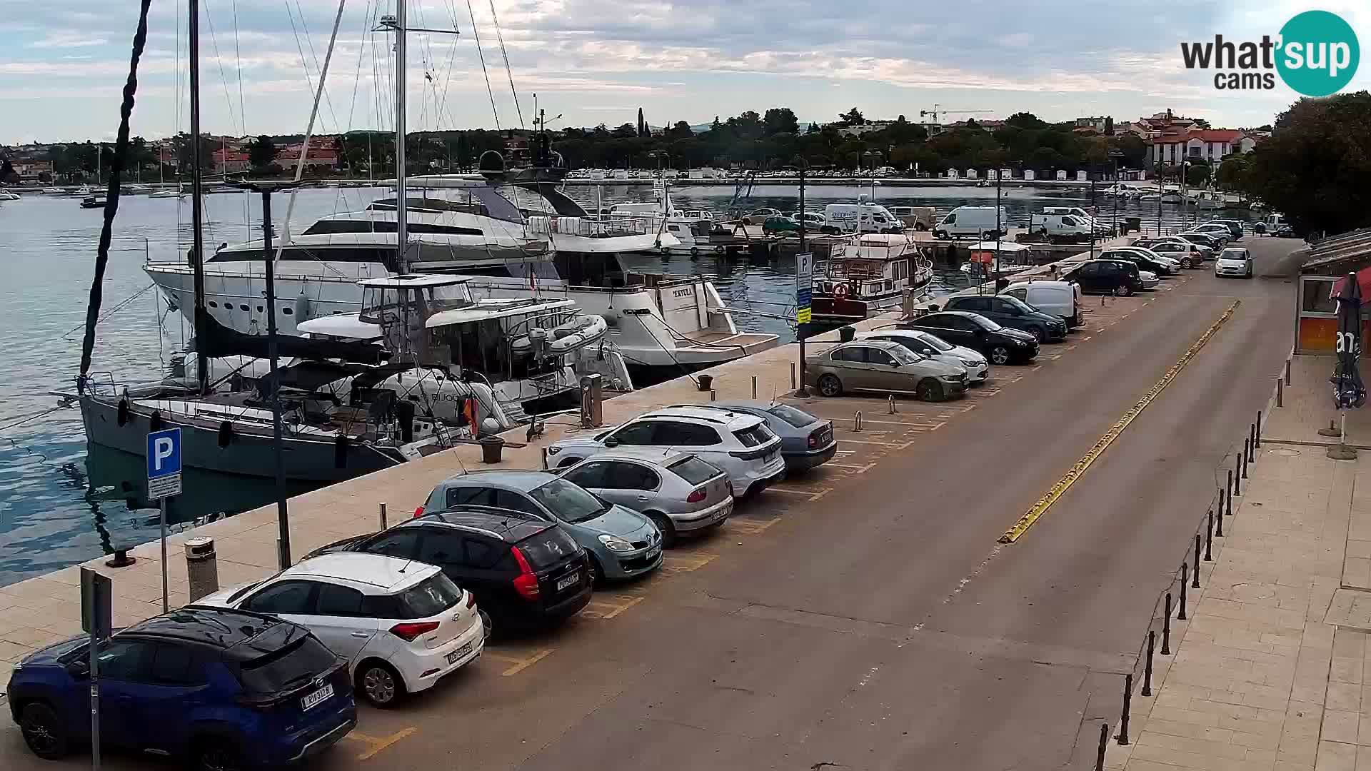 Webcam live Umag – port