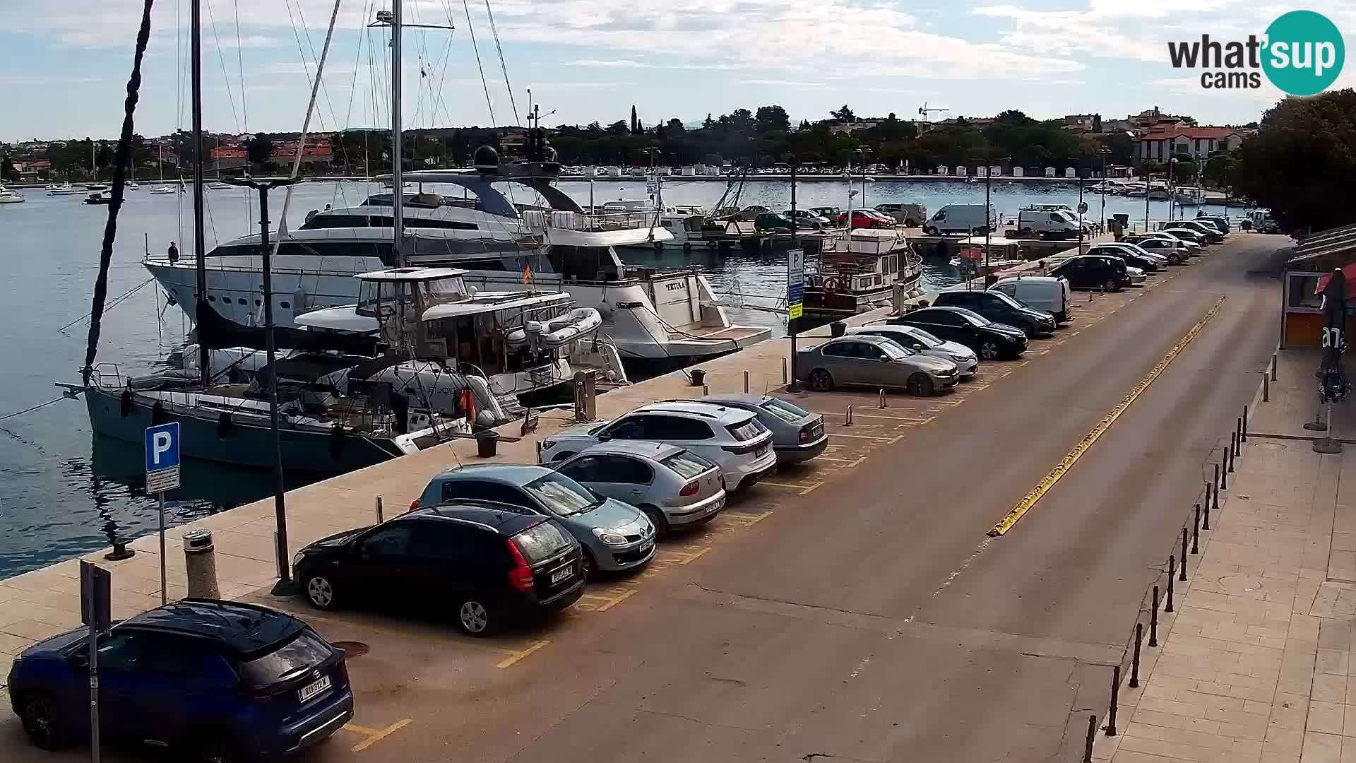 Trg Svobode – Kamera u živo Umag