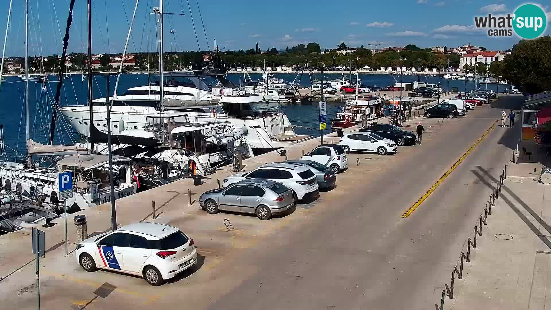 Trg Svobode – Kamera u živo Umag