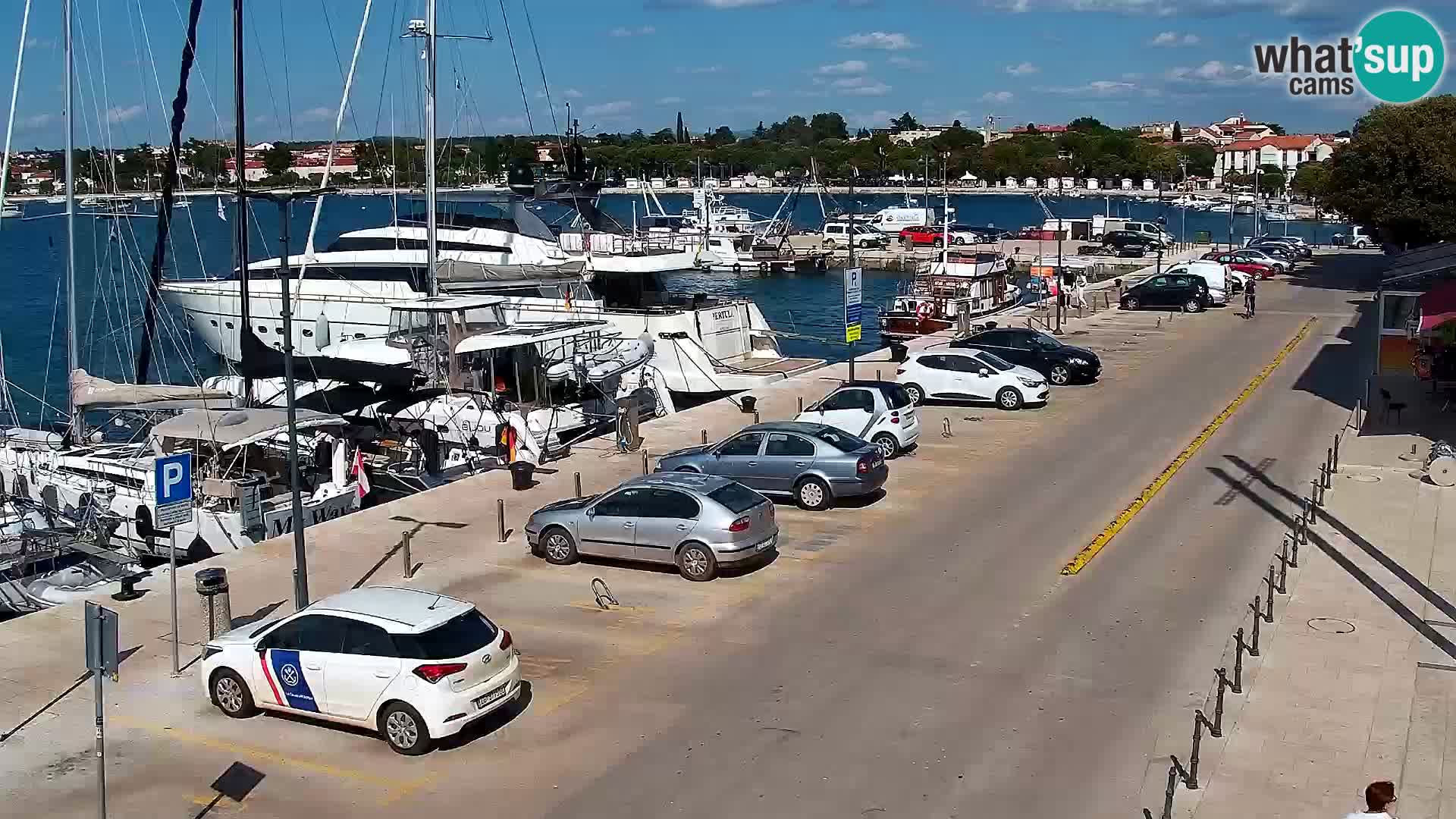 Web kamera Umag – luka