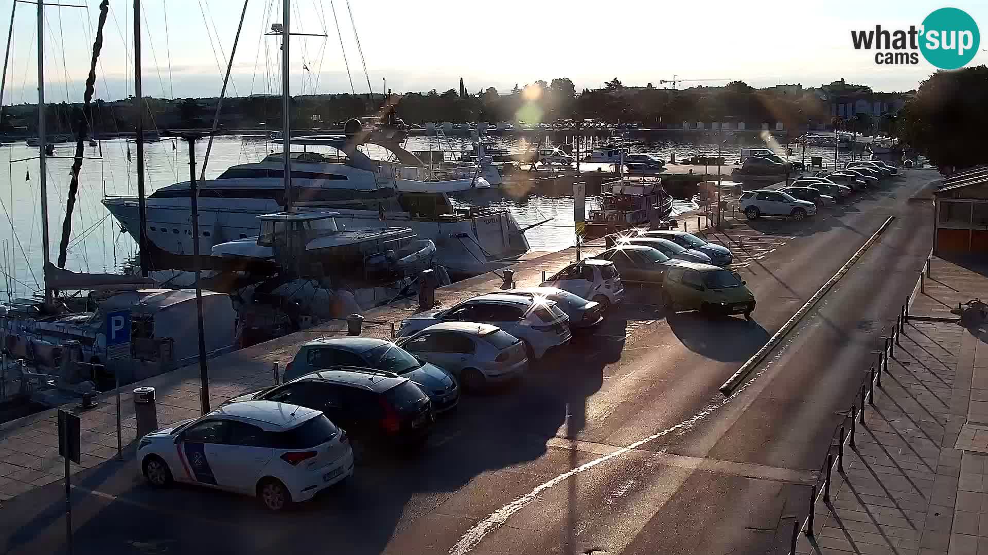 Trg Svobode – Kamera u živo Umag