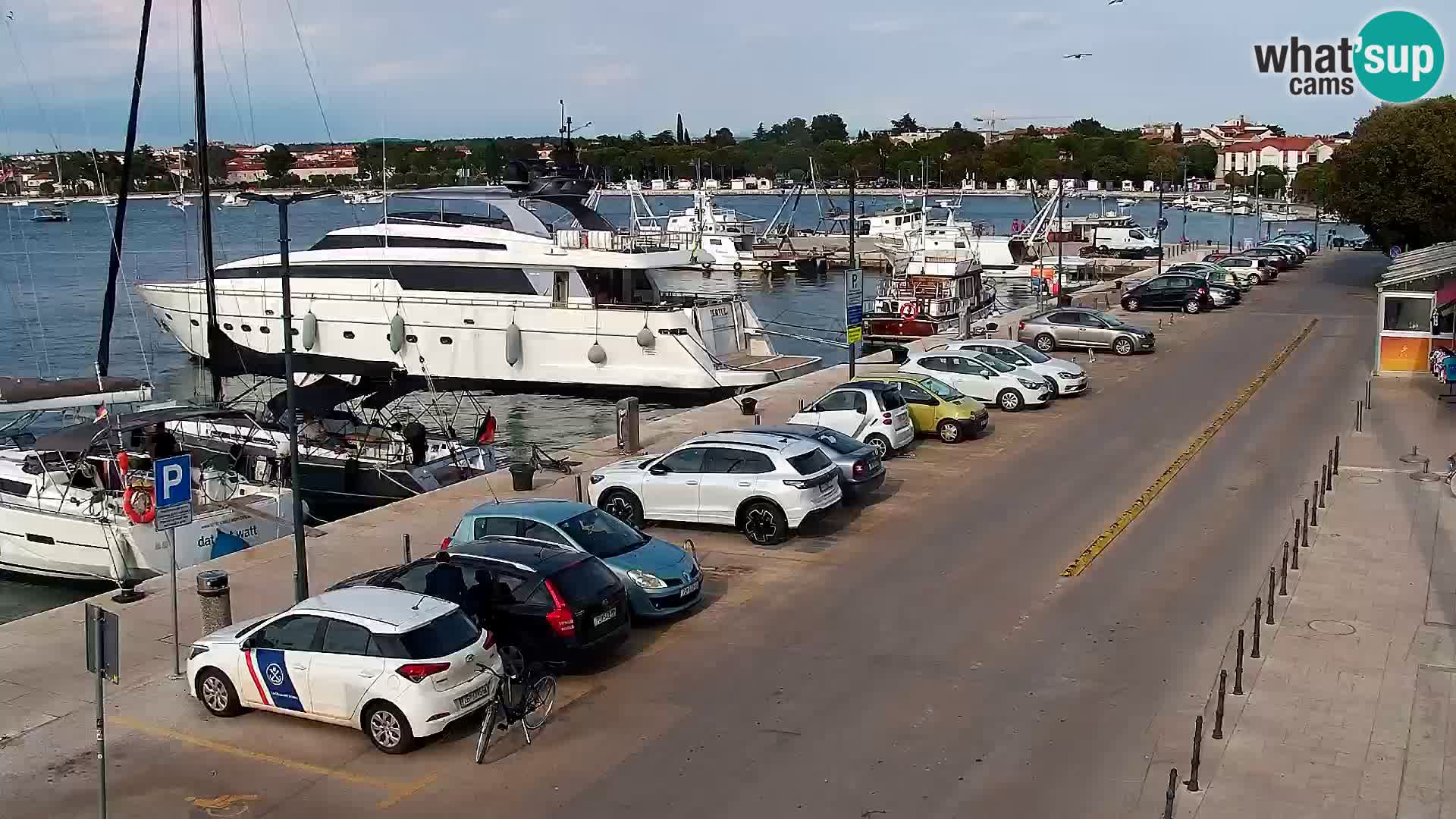 Webcam live Umag – Hafen